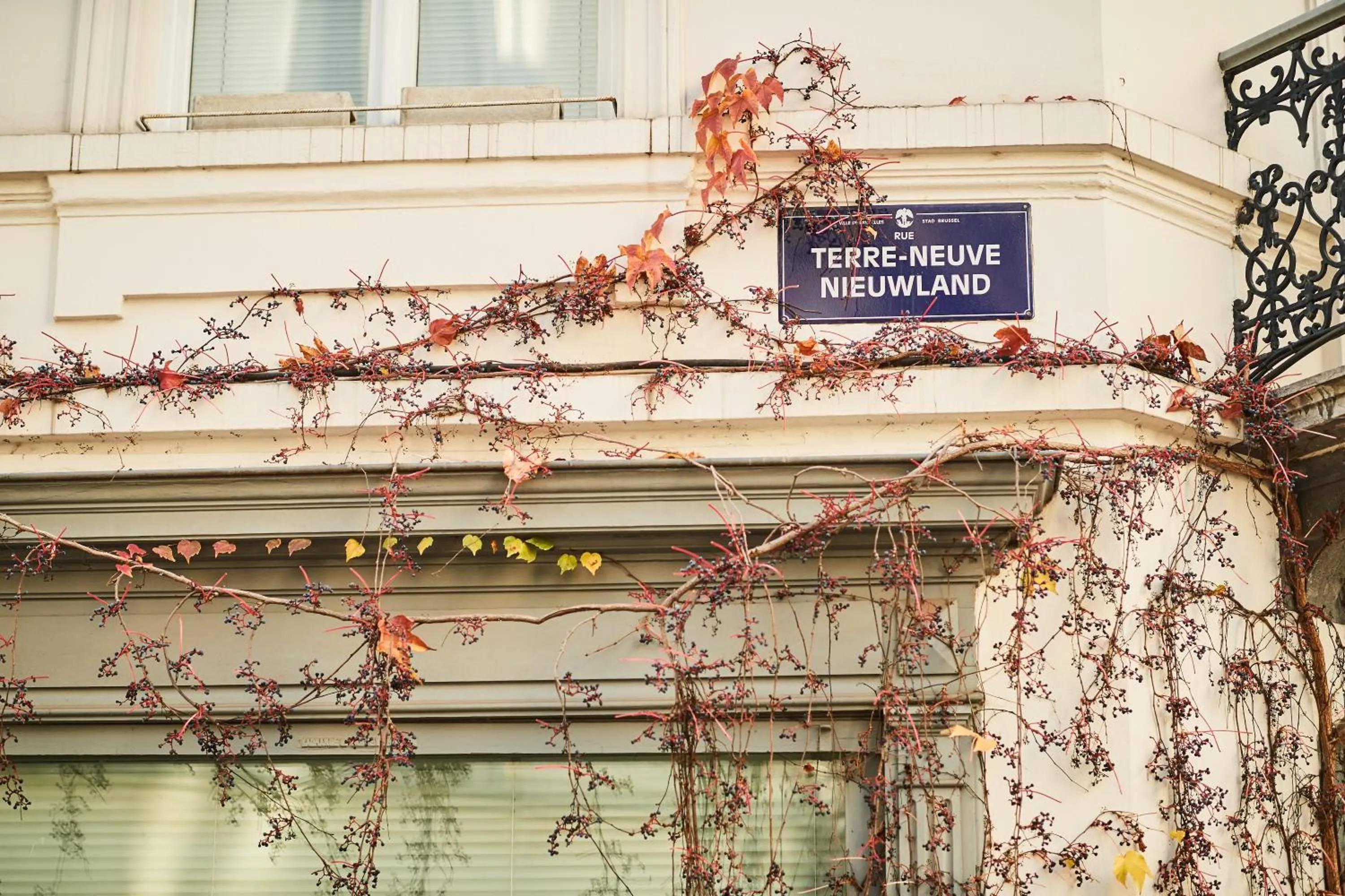 Nearby landmark in B&B X2Brussels