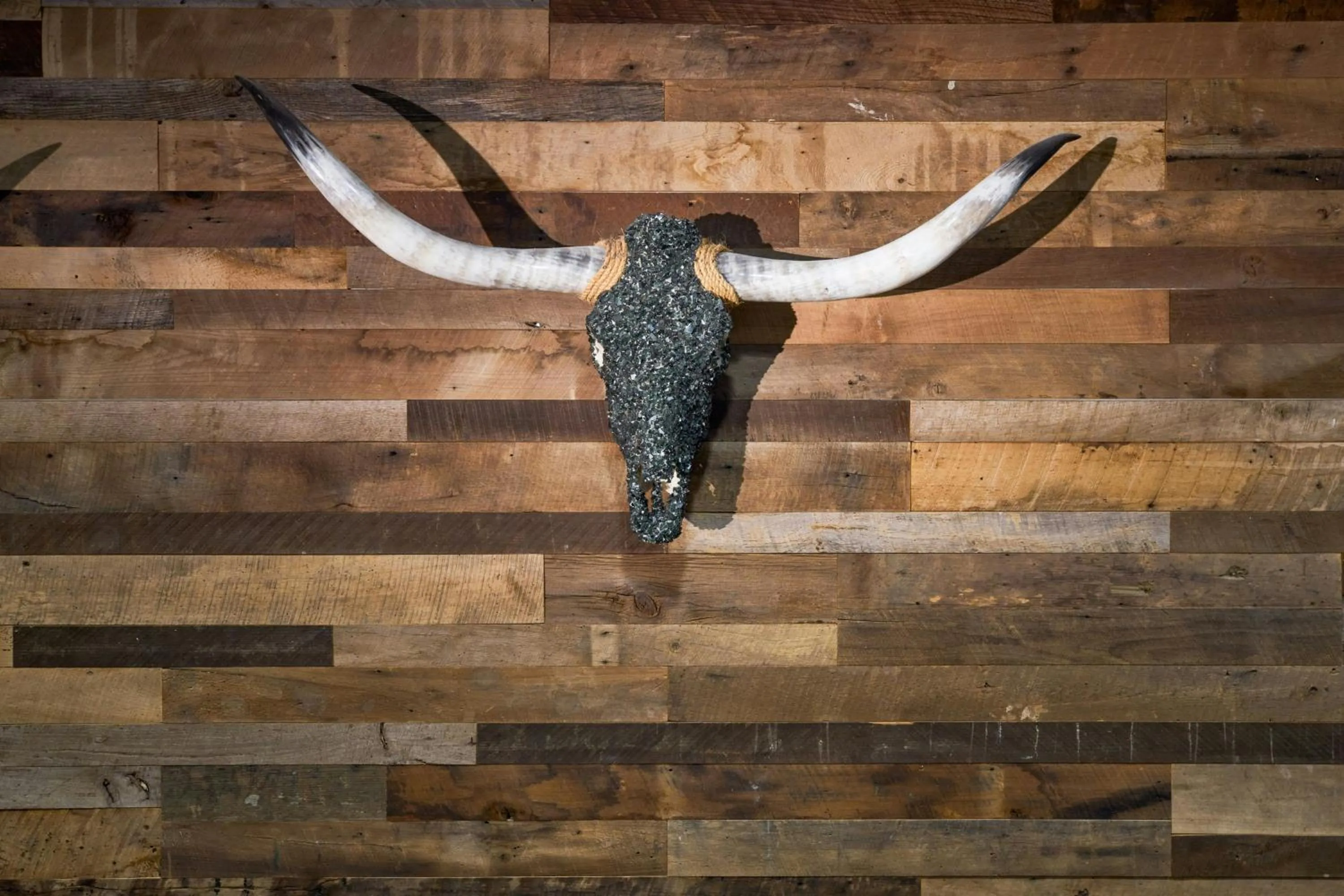 Other in Renaissance Austin Hotel