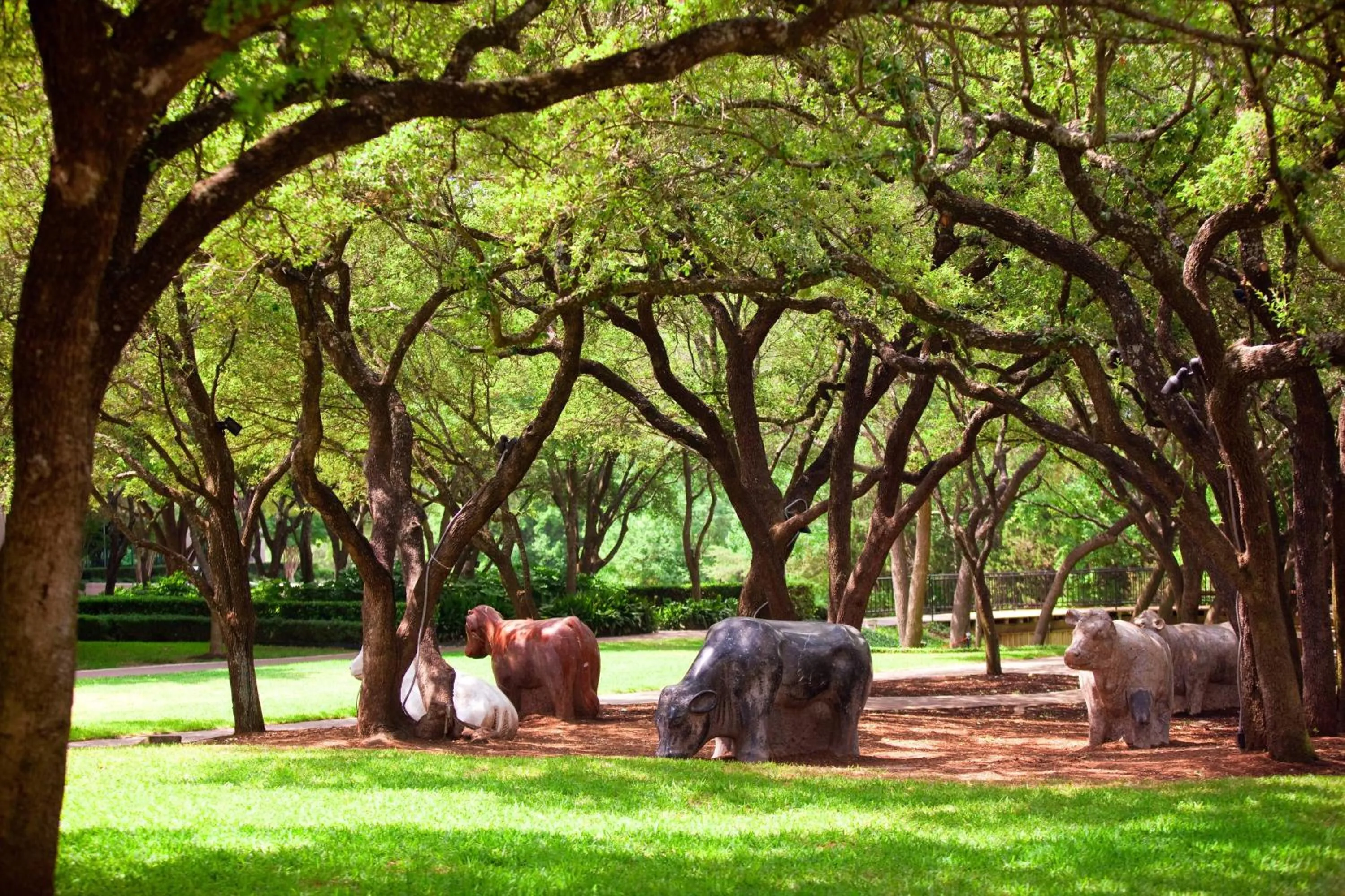 Other in Renaissance Austin Hotel