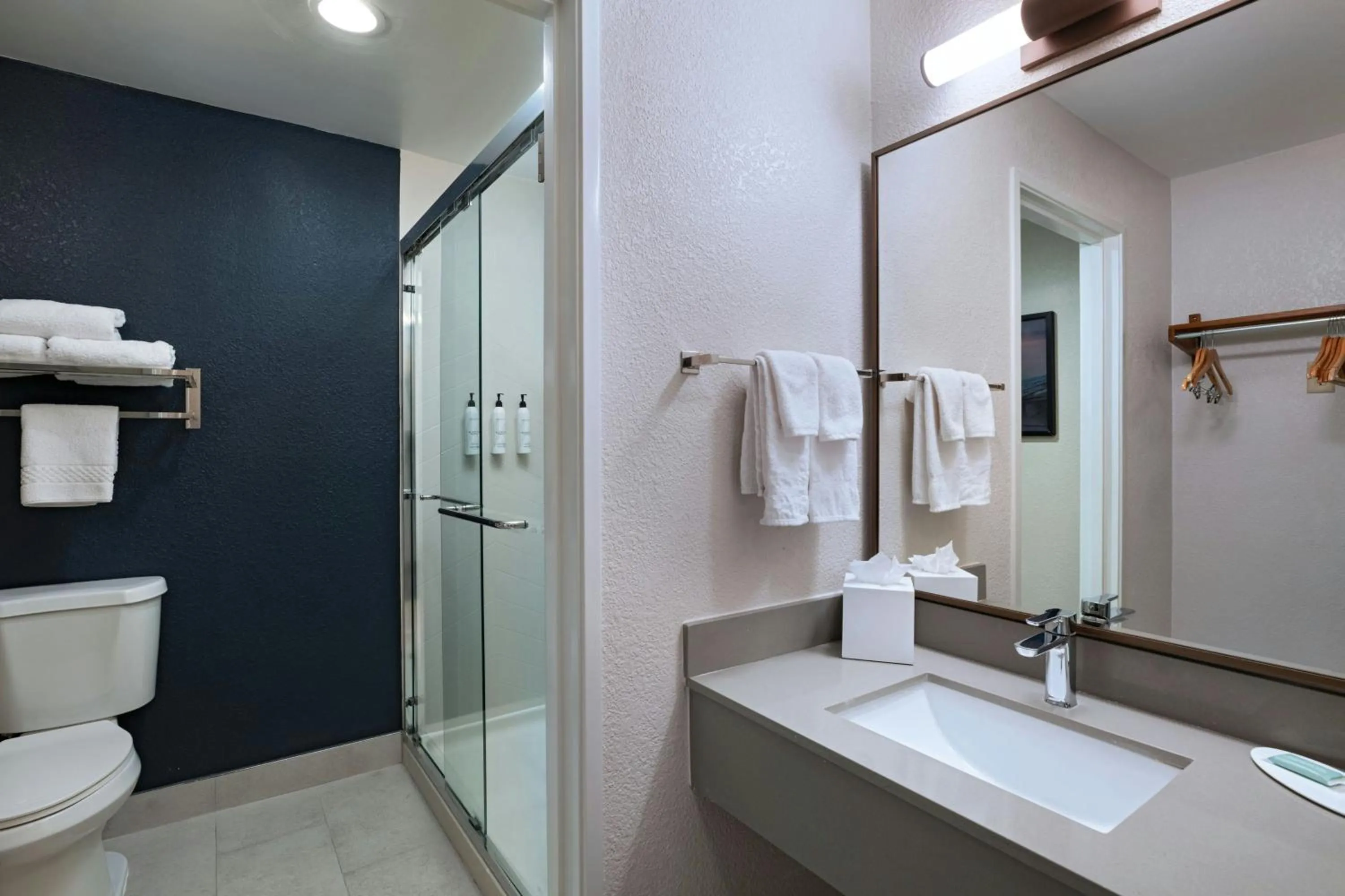 Bathroom in Fairfield Inn & Suites Austin University Area