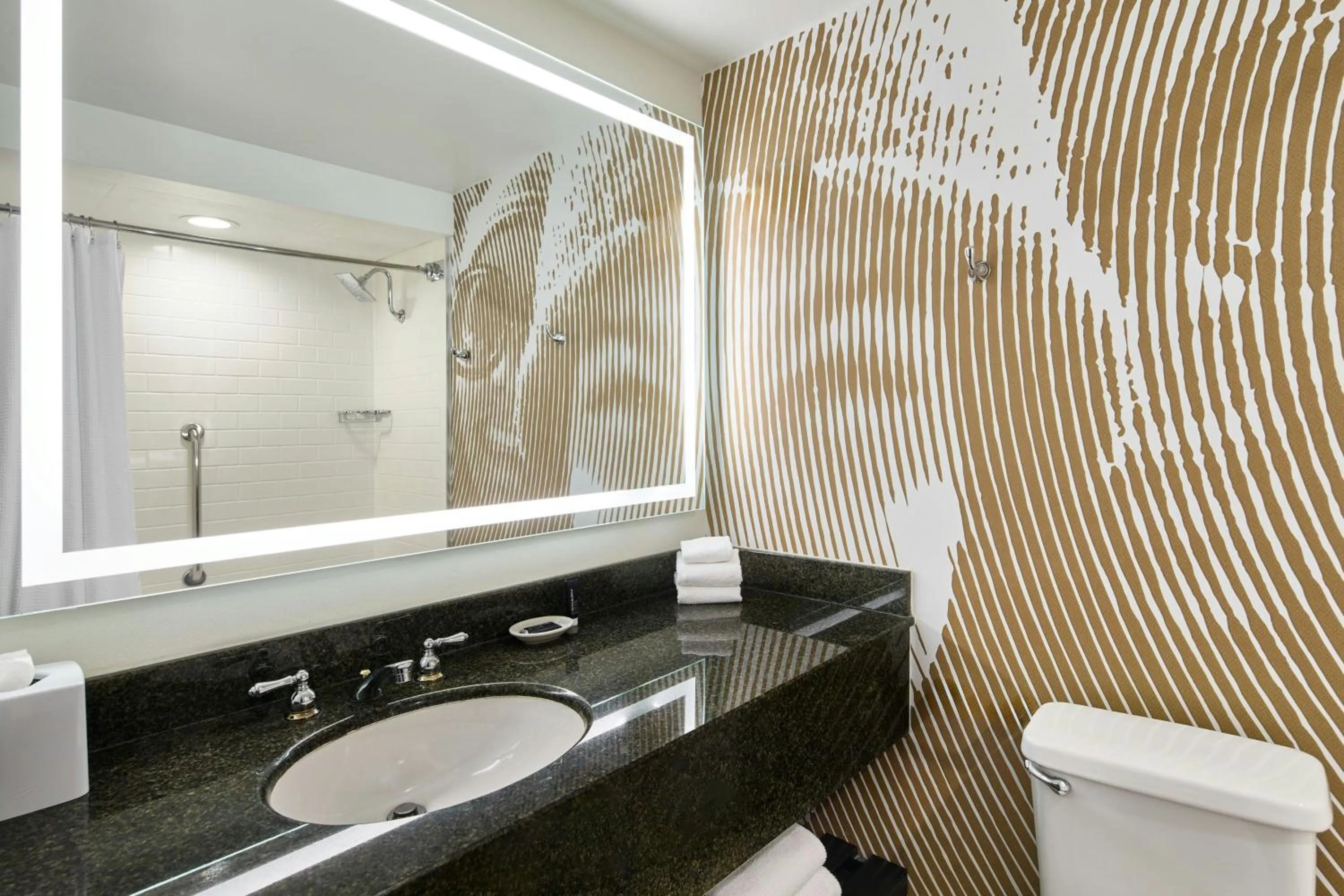 Bathroom in Renaissance Asheville Downtown Hotel