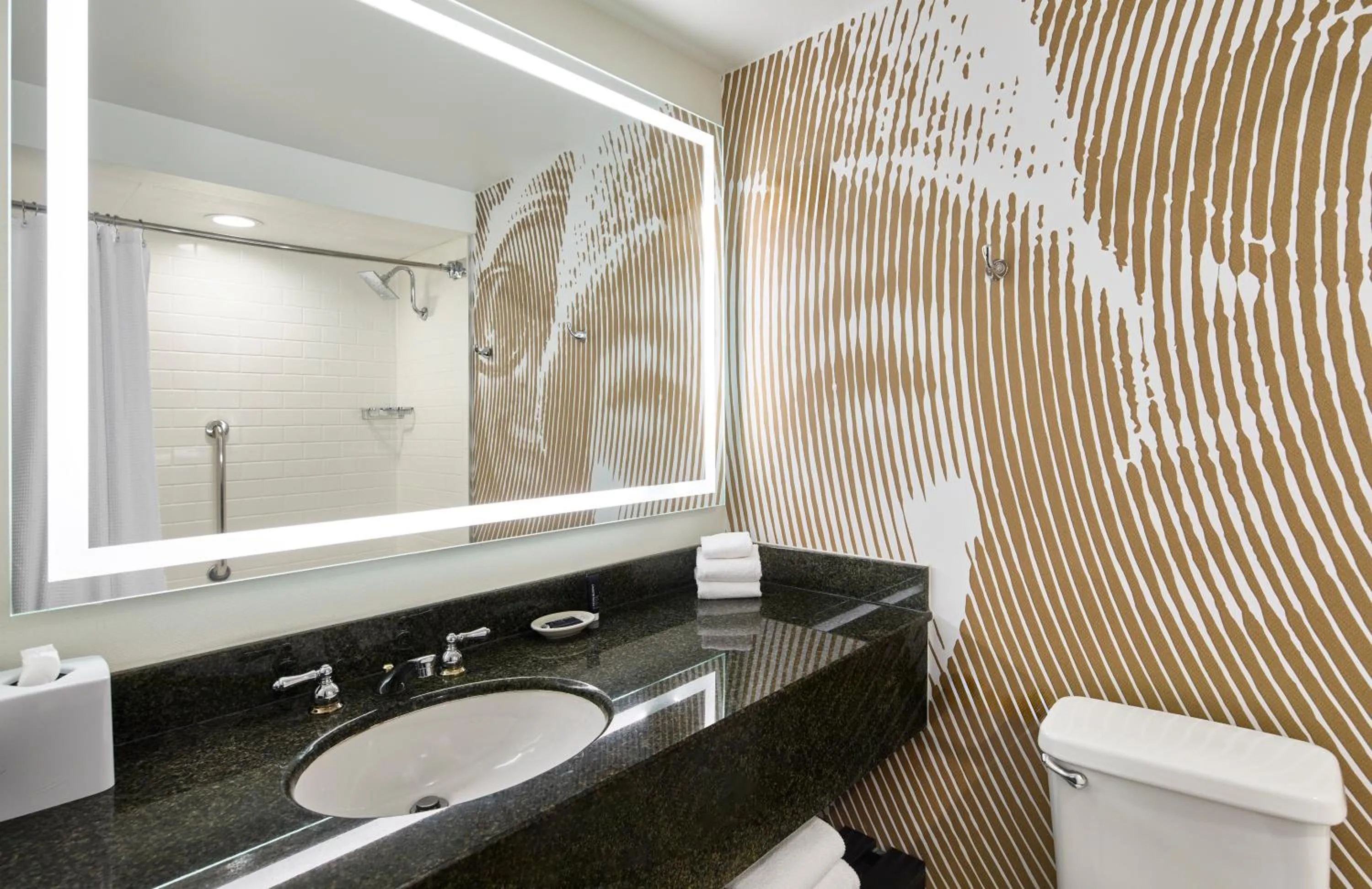 Bathroom in Renaissance Asheville Downtown Hotel