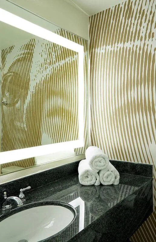 Bathroom in Renaissance Asheville Downtown Hotel