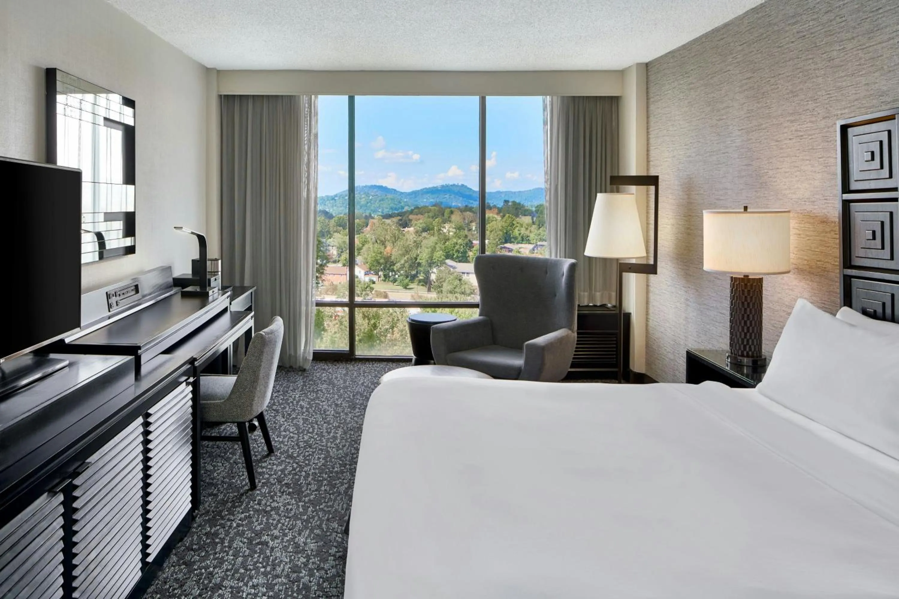 Photo of the whole room, Bed in Renaissance Asheville Downtown Hotel