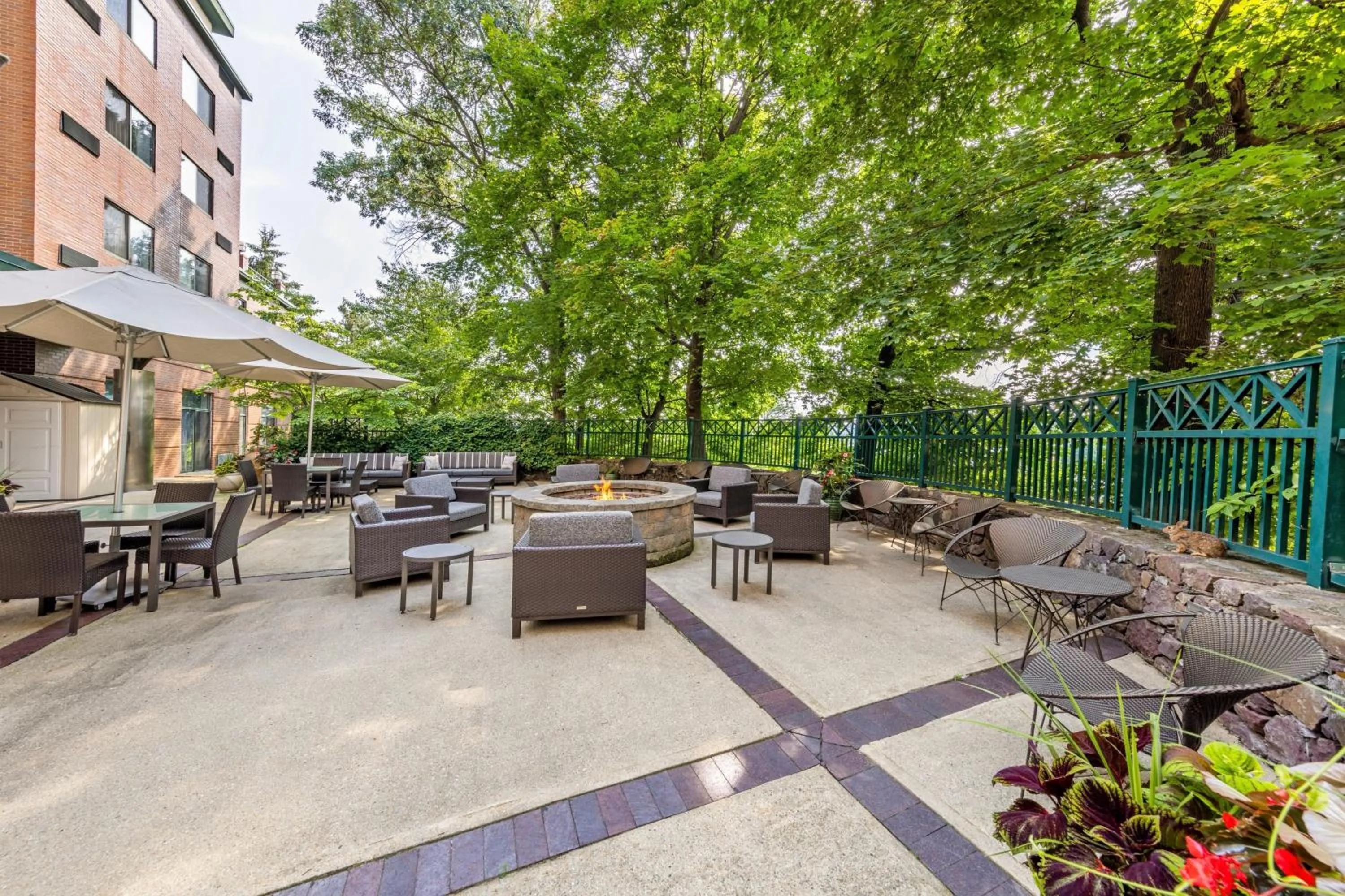 Restaurant/places to eat in Courtyard by Marriott Boston Waltham