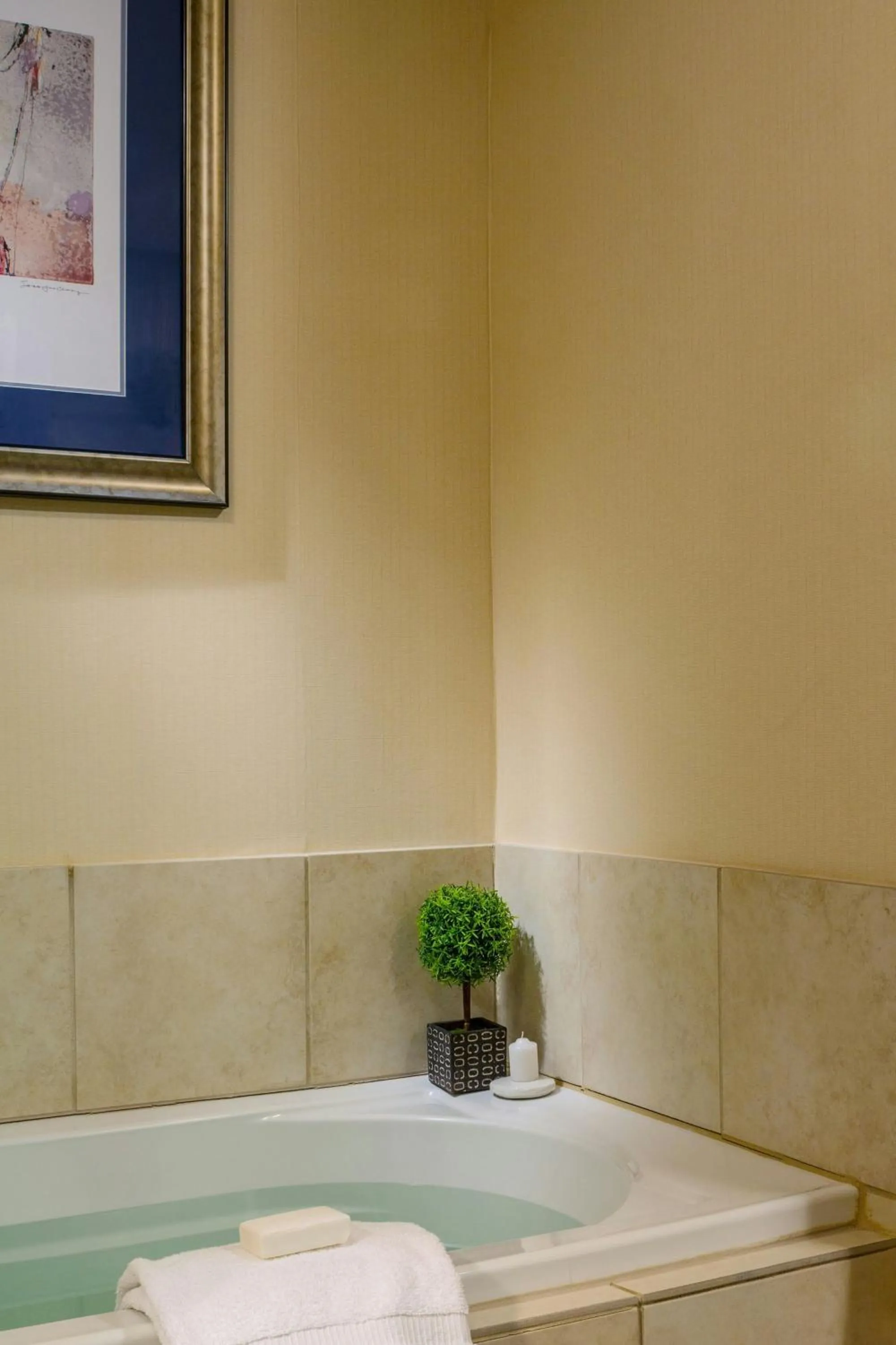 Bathroom in Courtyard Burlington Harbor