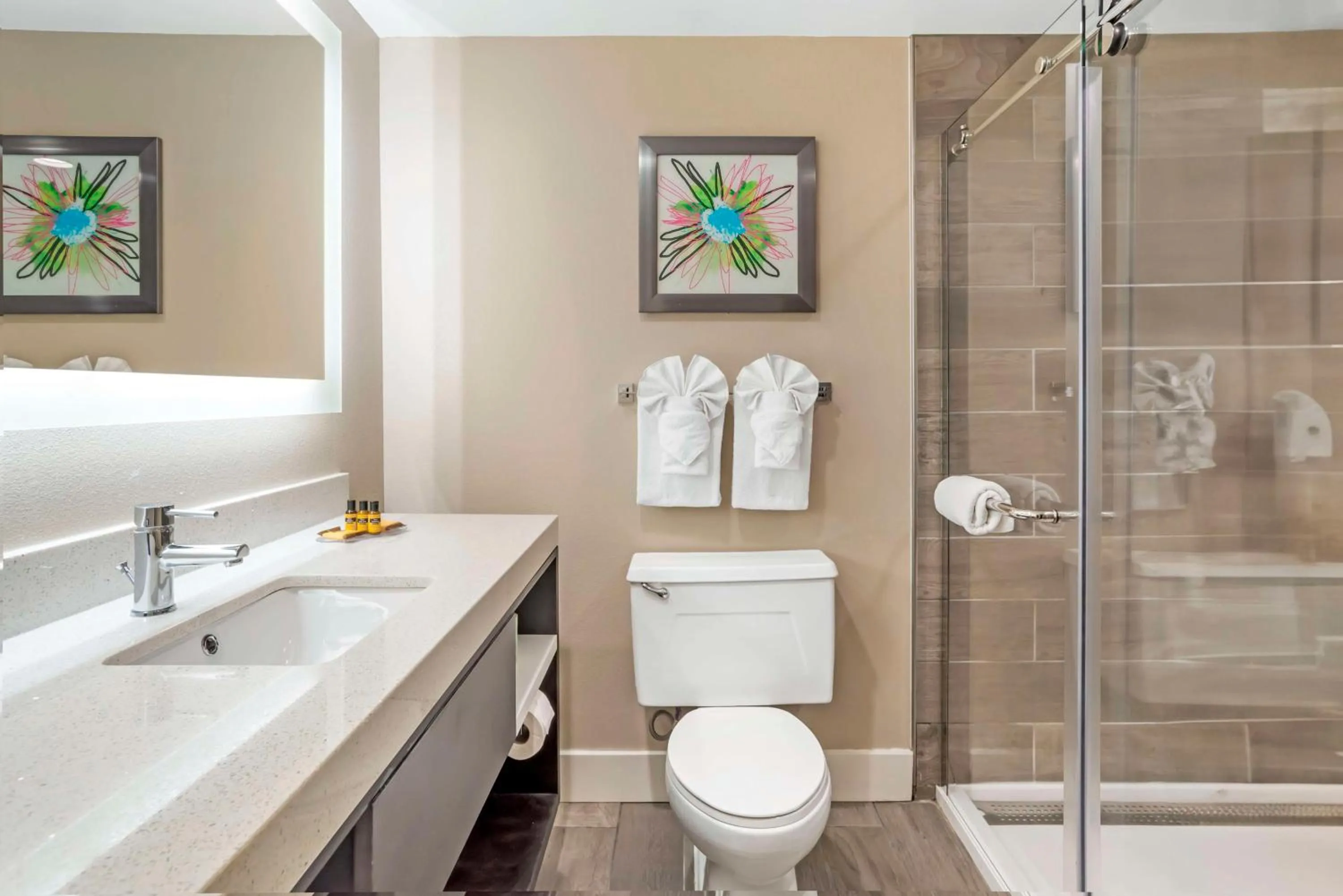 Bathroom in Best Western Plus Greenville I-385 Inn & Suites