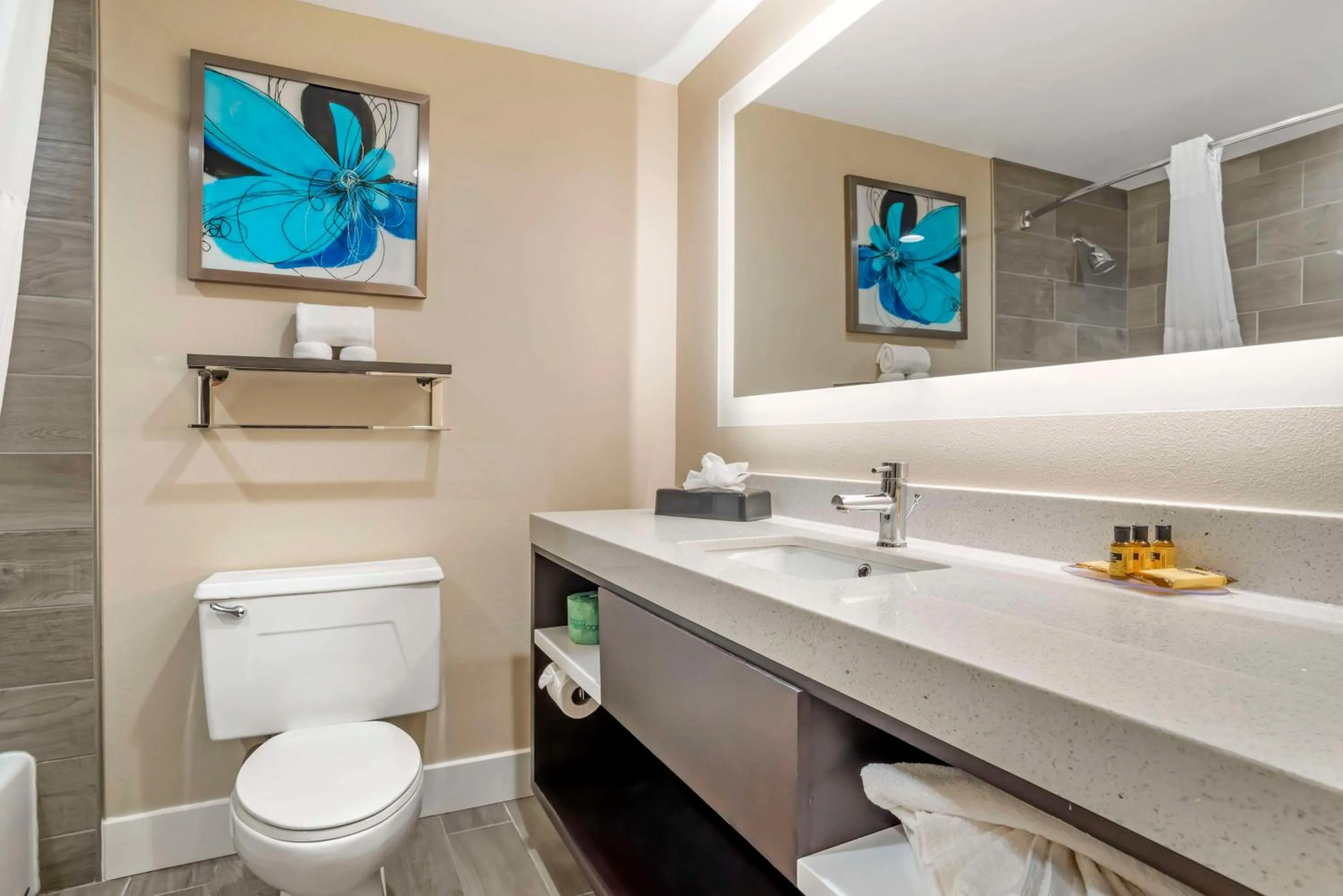 Bathroom in Best Western Plus Greenville I-385 Inn & Suites