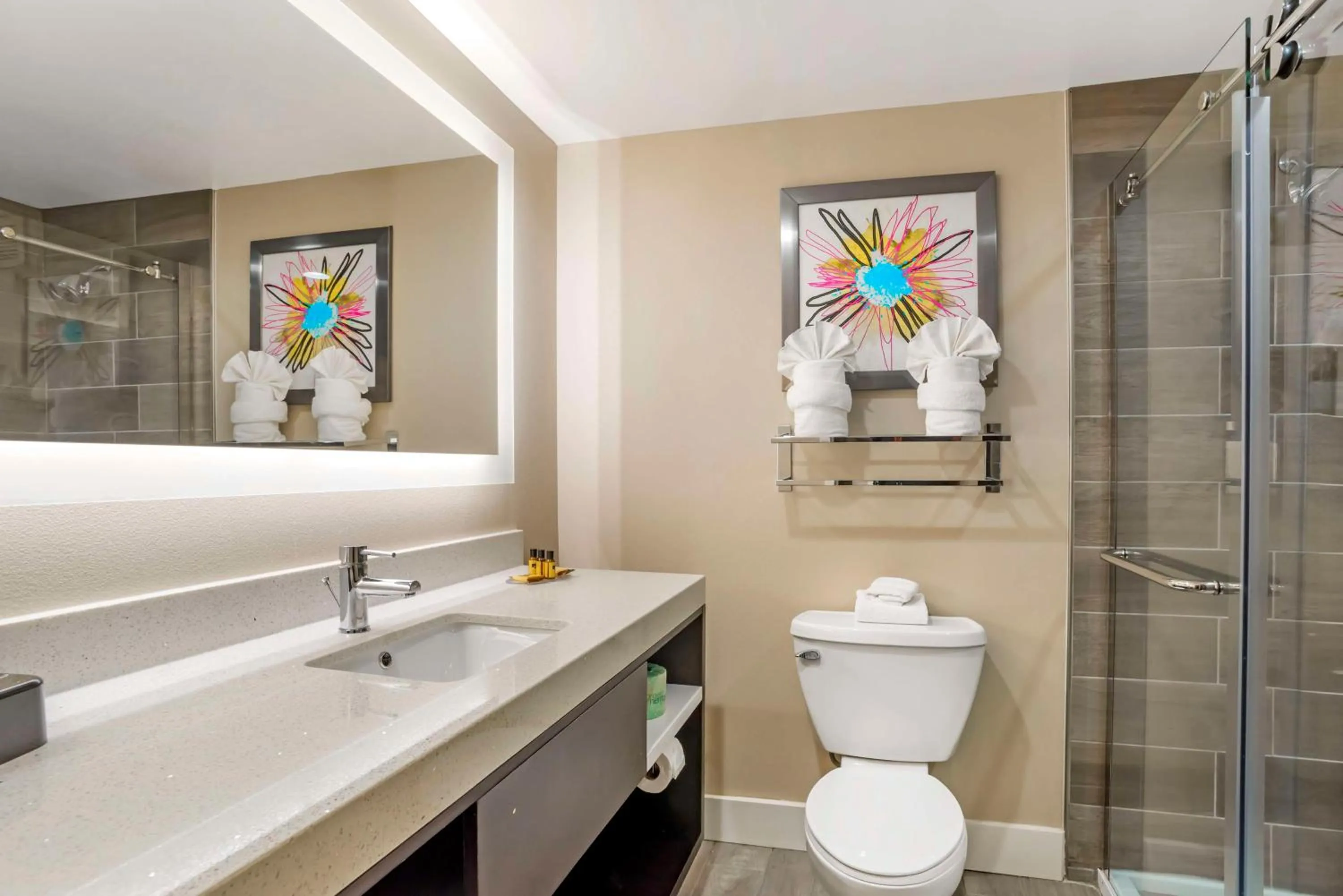 Bathroom in Best Western Plus Greenville I-385 Inn & Suites