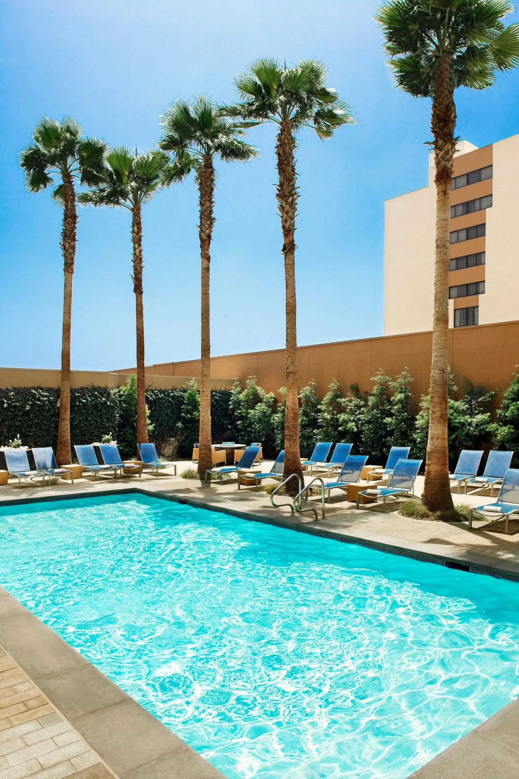 Swimming pool in Los Angeles Marriott Burbank Airport