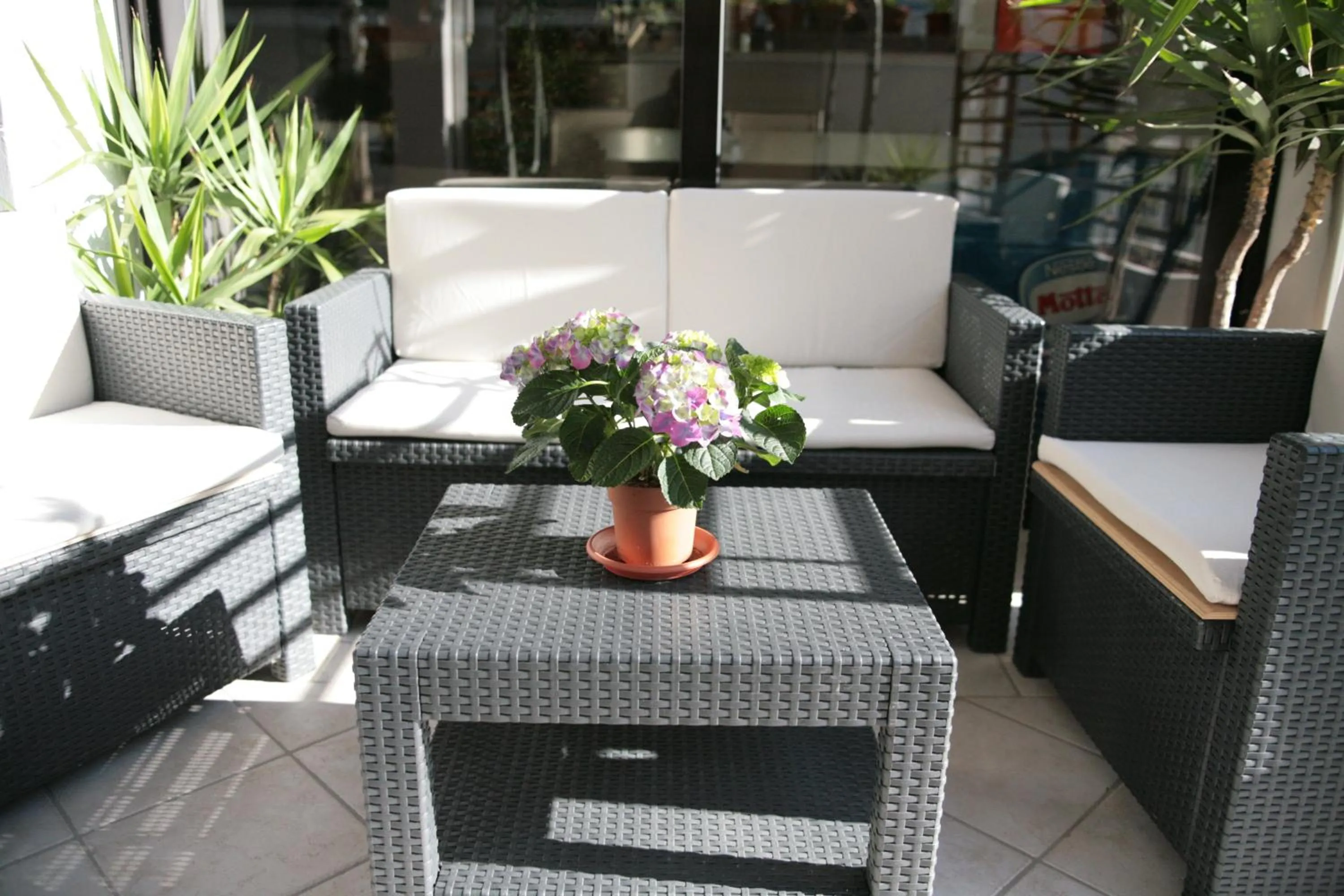 Garden in Hotel Dear Rimini