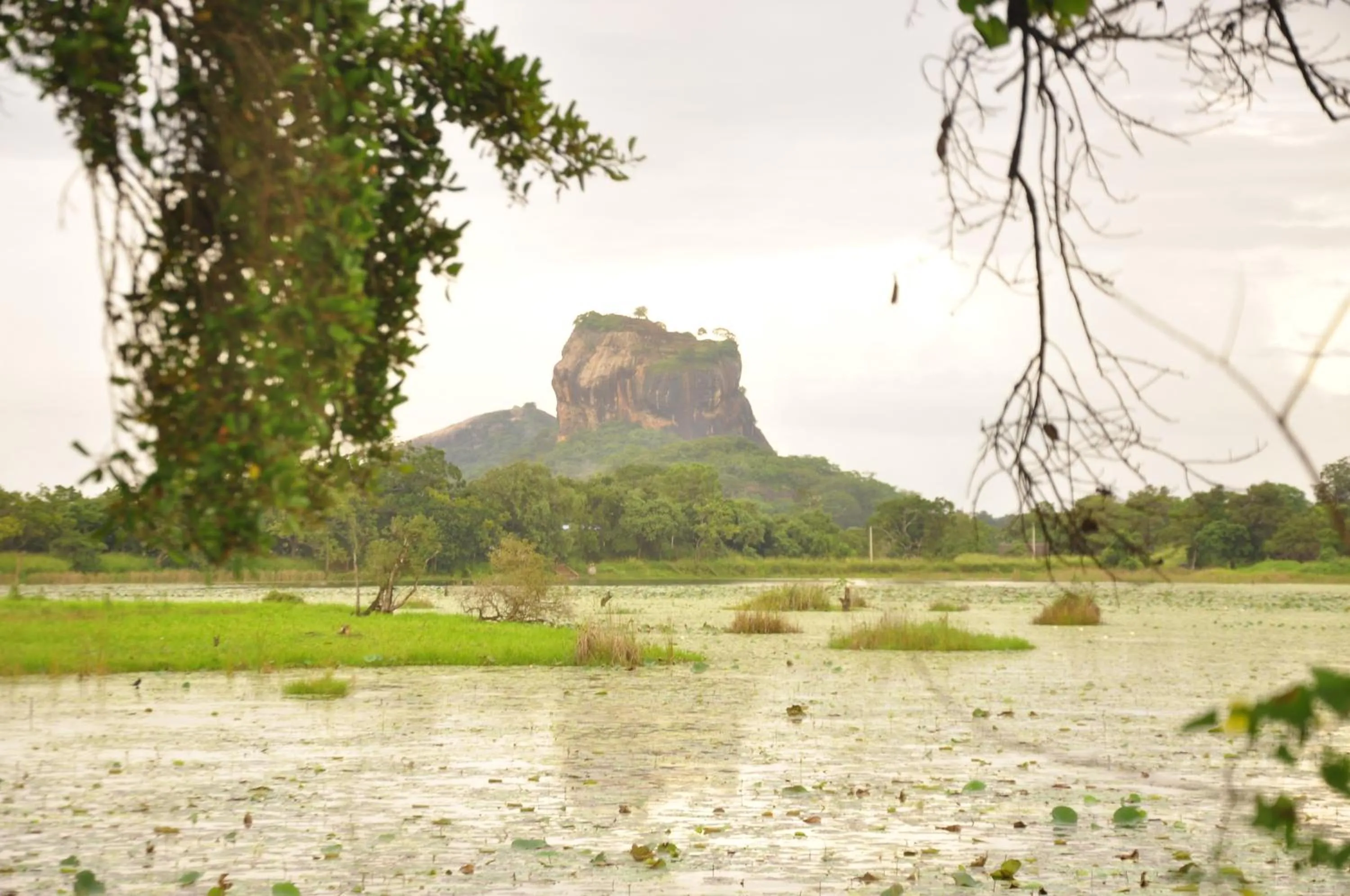 Natural landscape in Rock Lake Home Stay