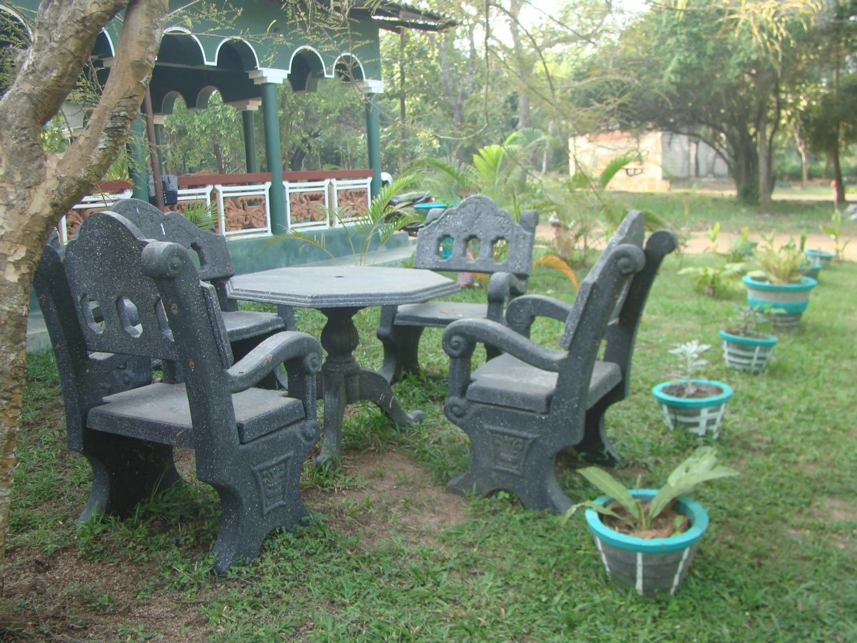 Garden in Rock Lake Home Stay