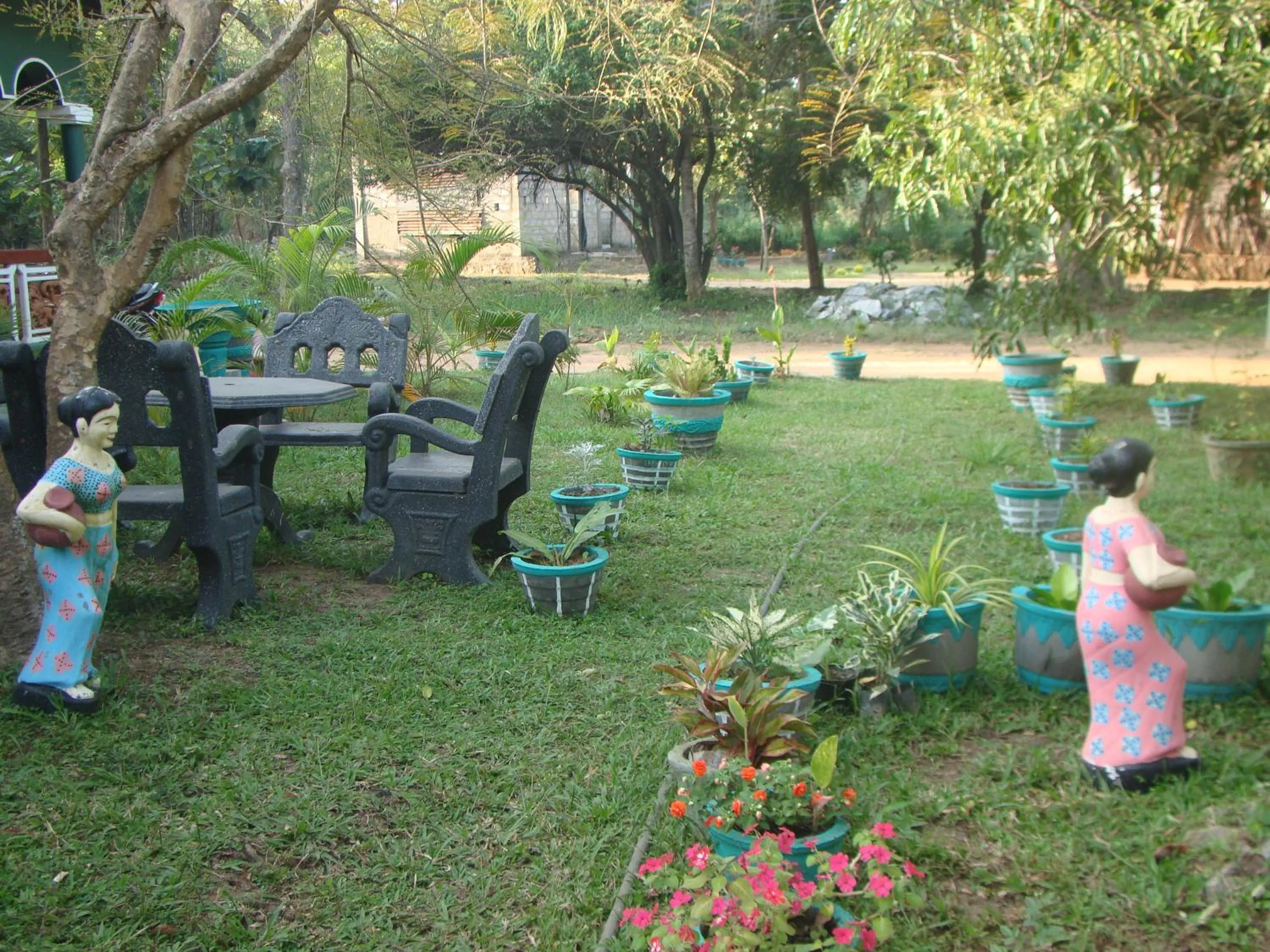 Garden in Rock Lake Home Stay
