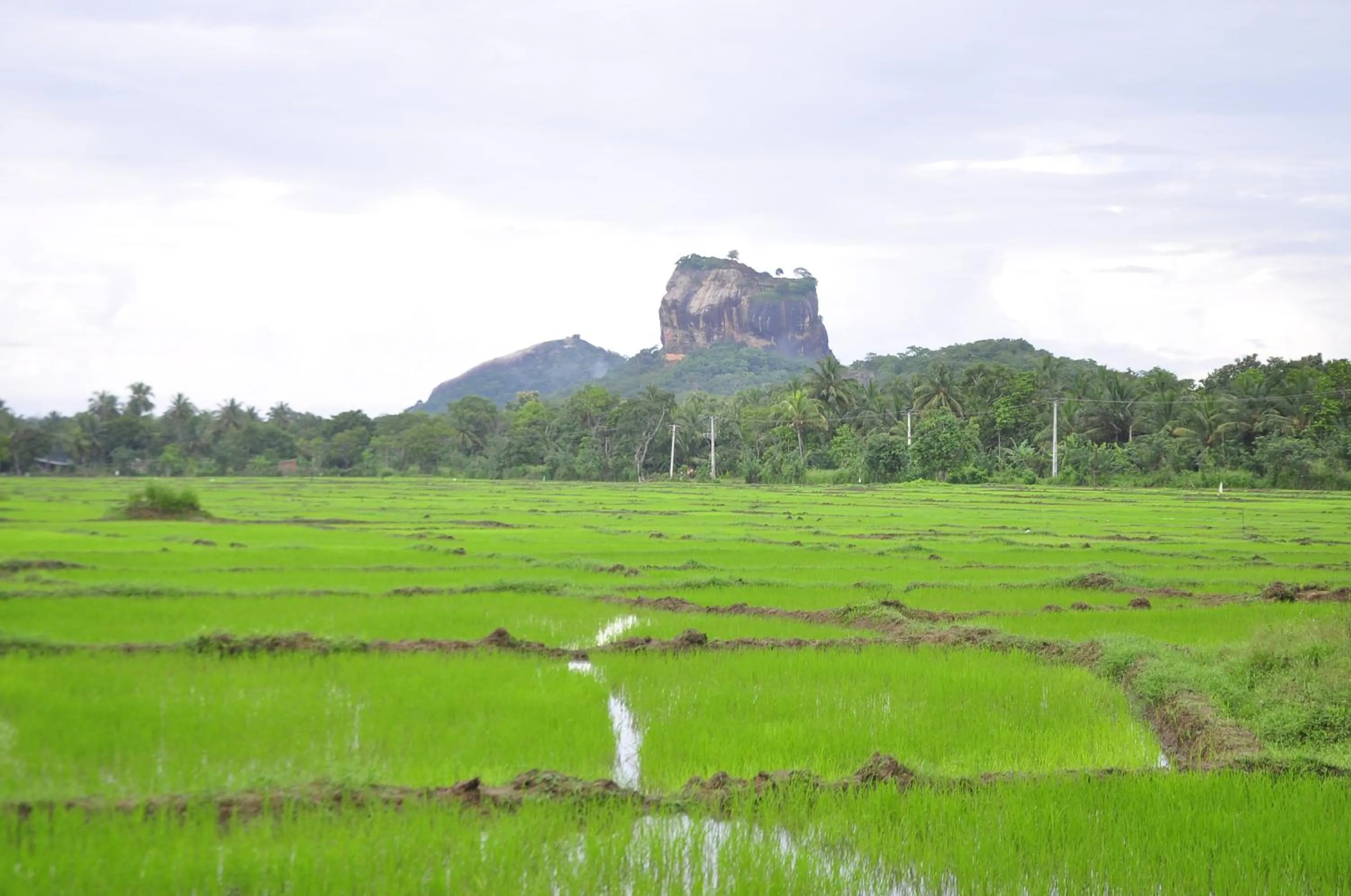 Natural landscape in Rock Lake Home Stay