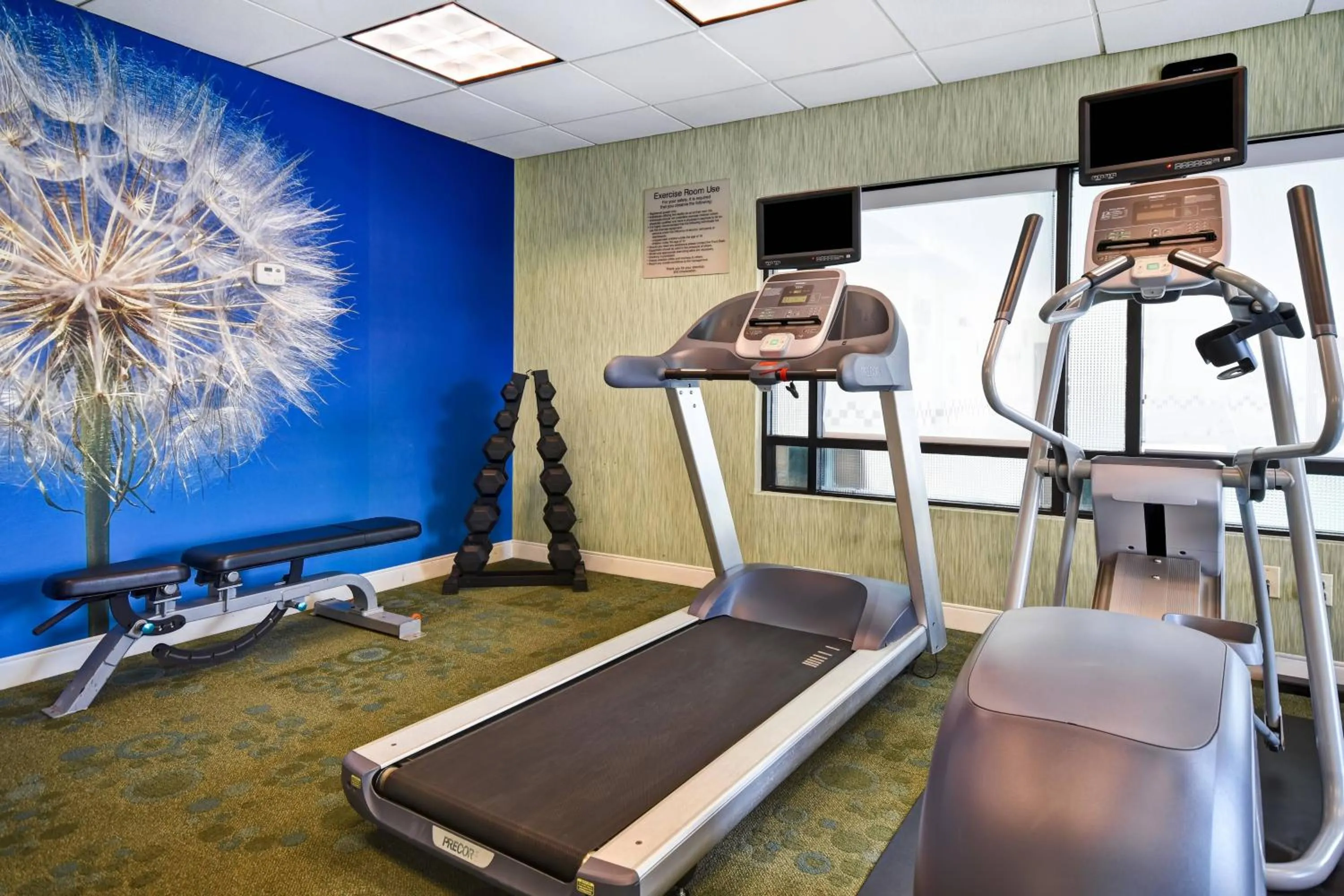 Fitness centre/facilities in SpringHill Suites by Marriott Baltimore BWI Airport