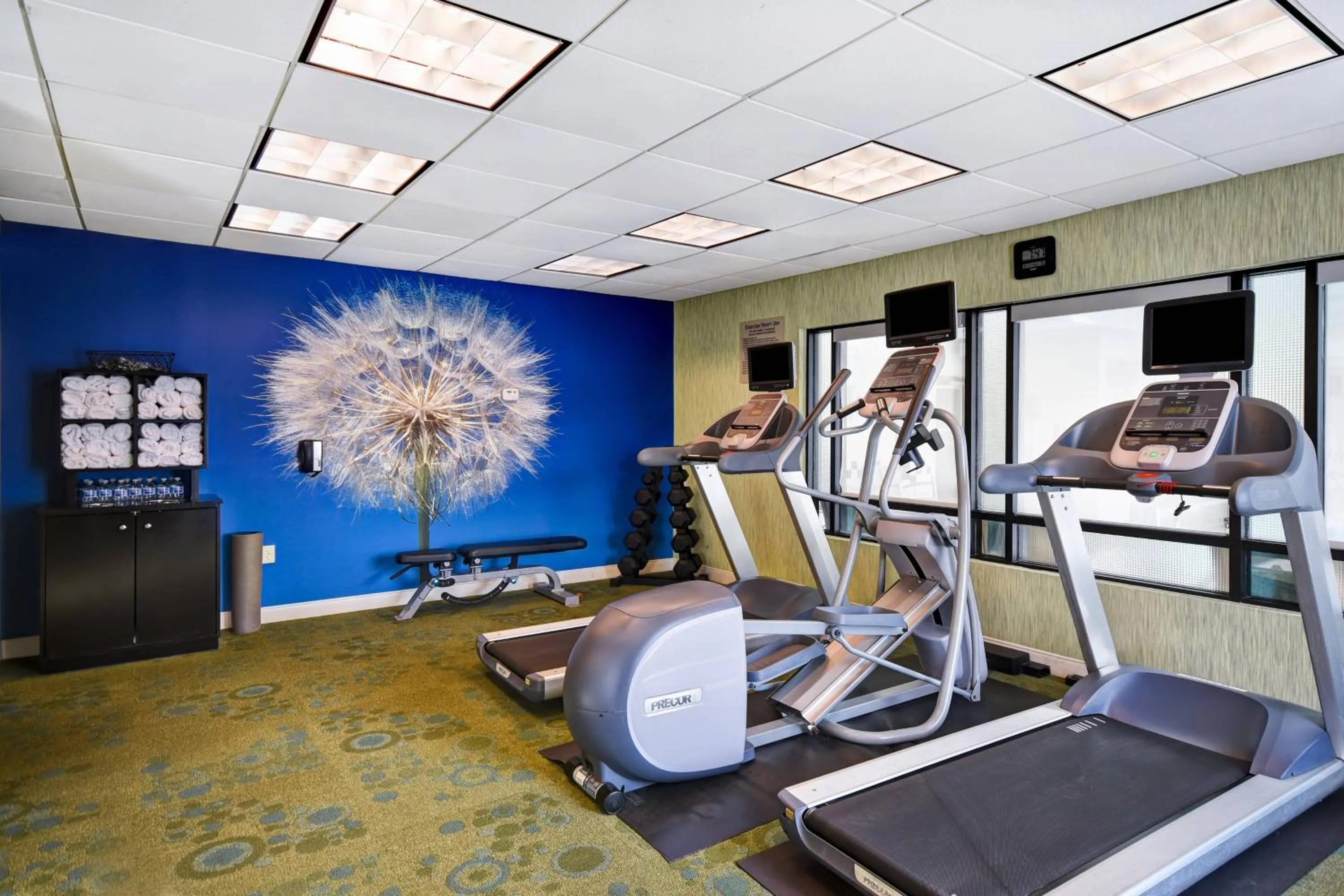 Fitness centre/facilities in SpringHill Suites by Marriott Baltimore BWI Airport