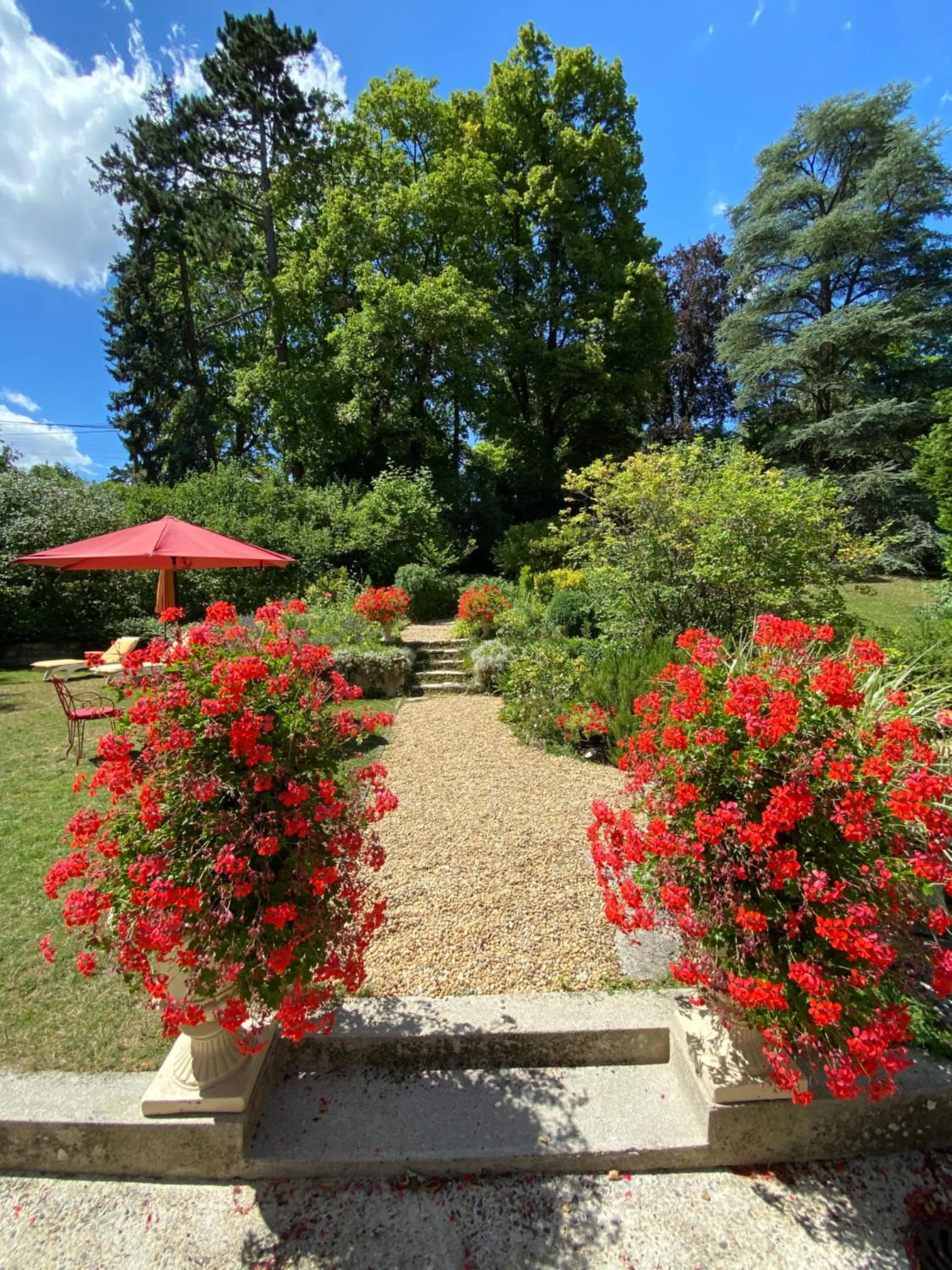 Garden in Manoir des Cavaliers - BnB