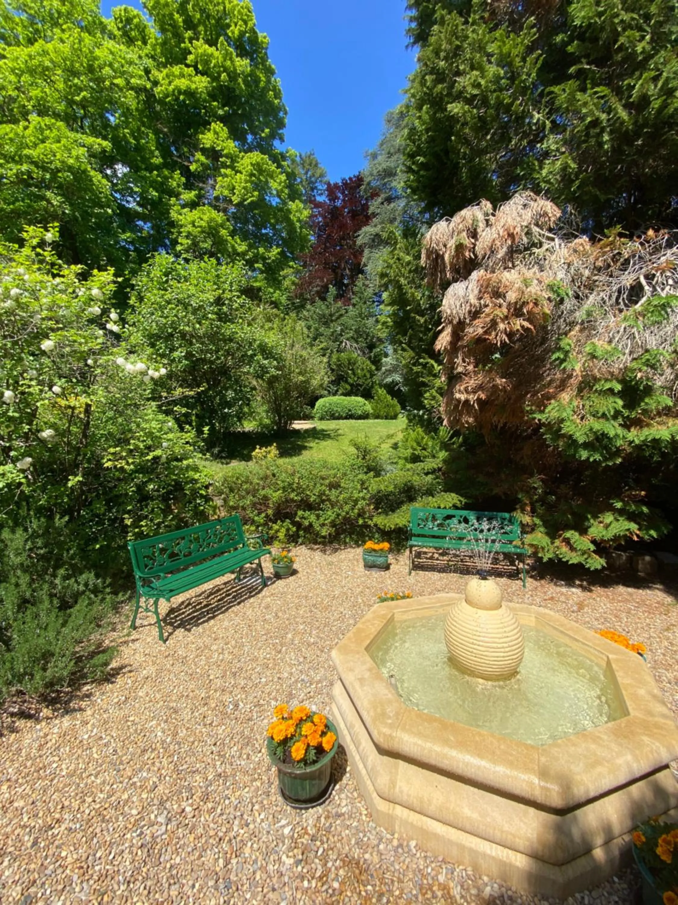 Garden in Manoir des Cavaliers - BnB