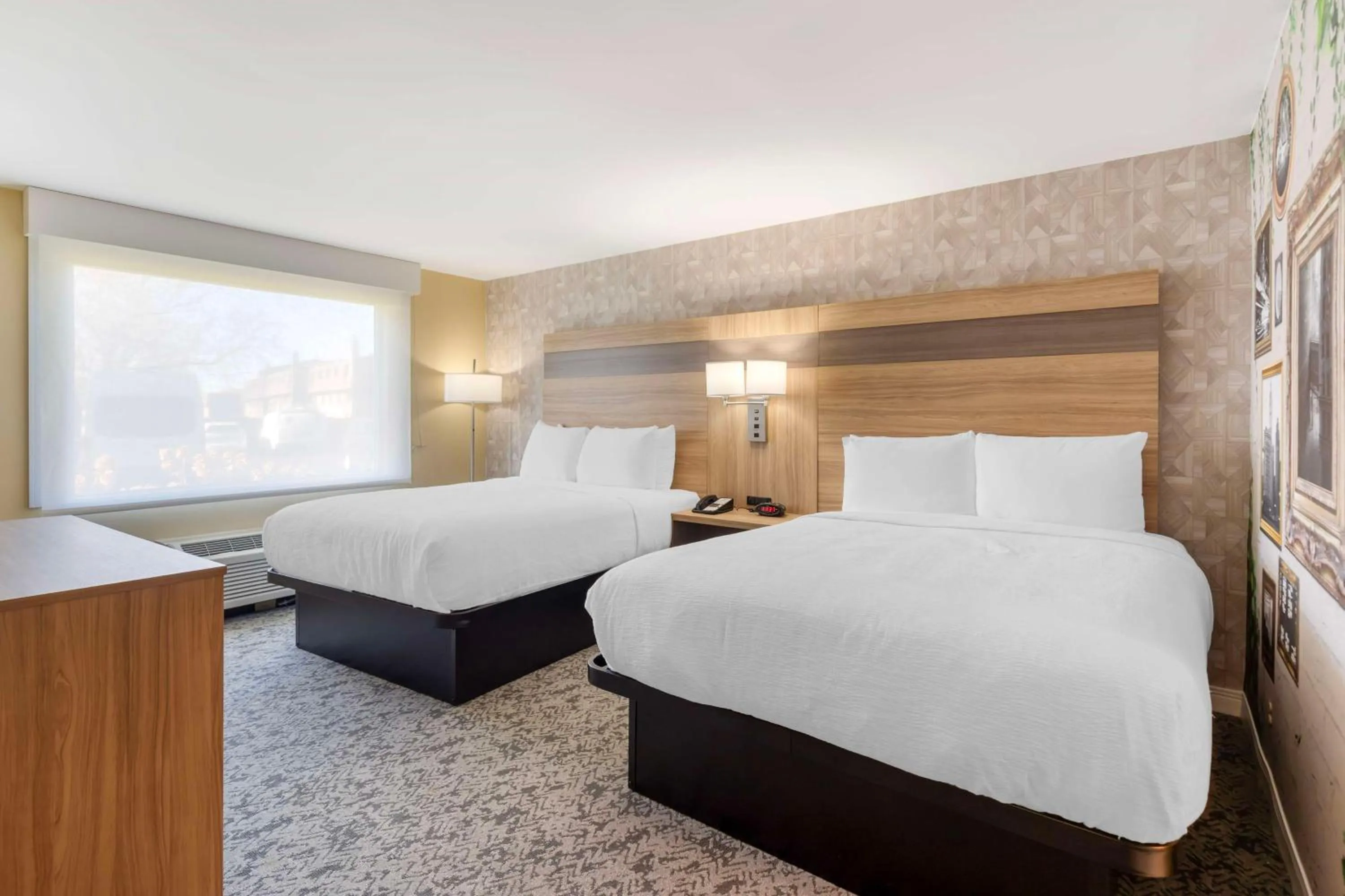 Bed in Best Western Glenview - Chicagoland Inn and Suites