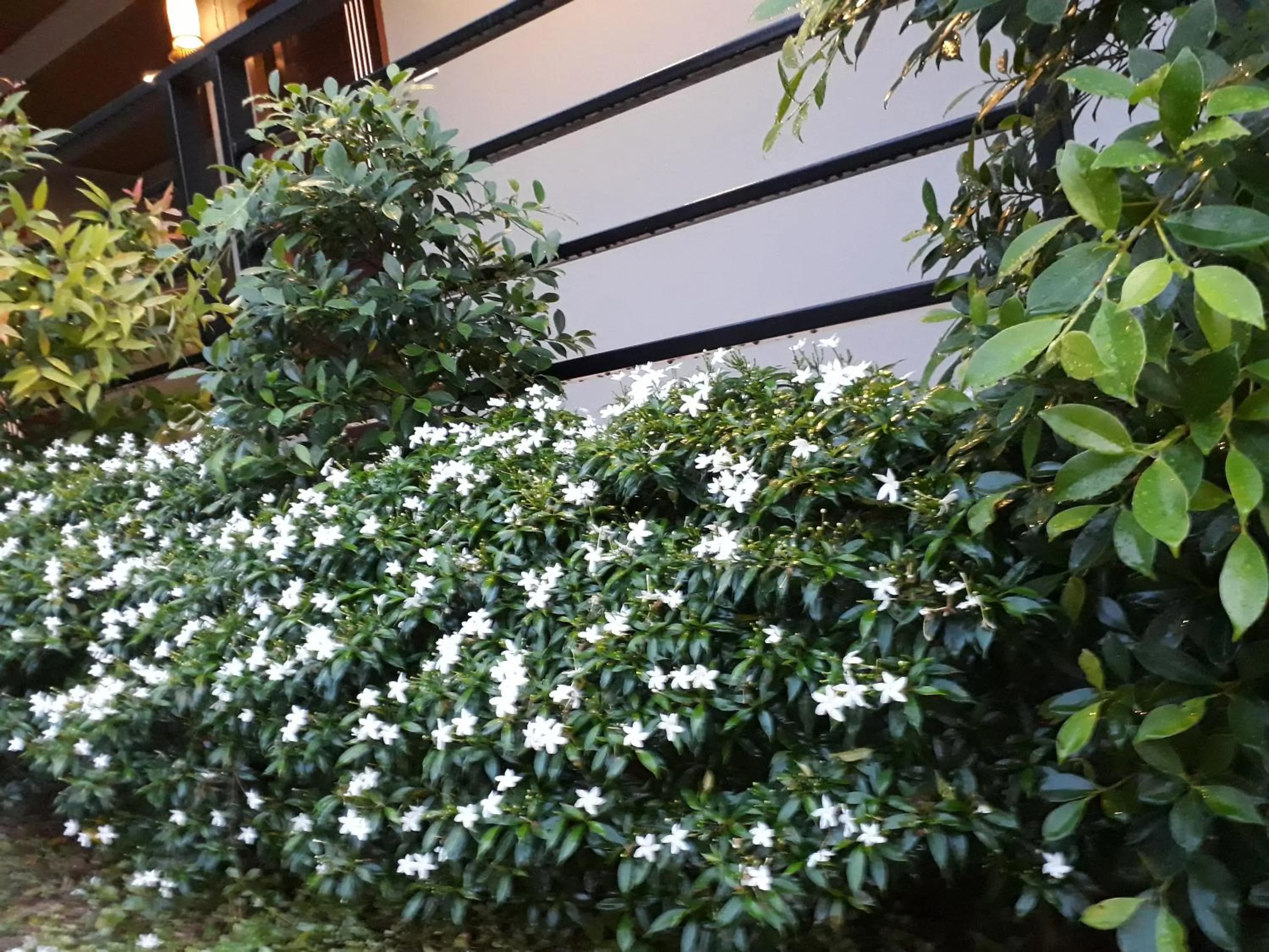 Garden view in Lanta noblesse