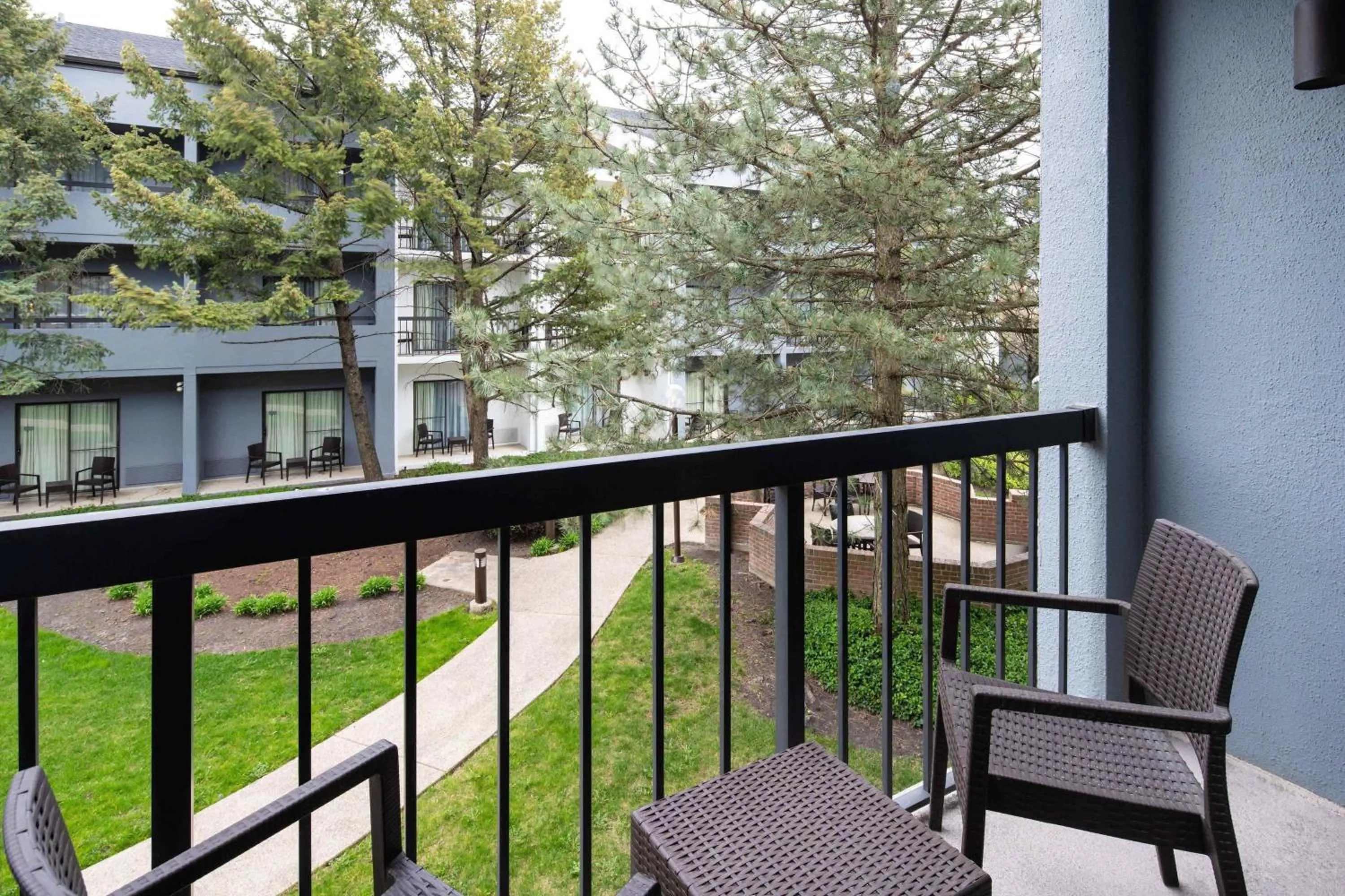 Photo of the whole room in Courtyard Chicago Wood Dale / Itasca