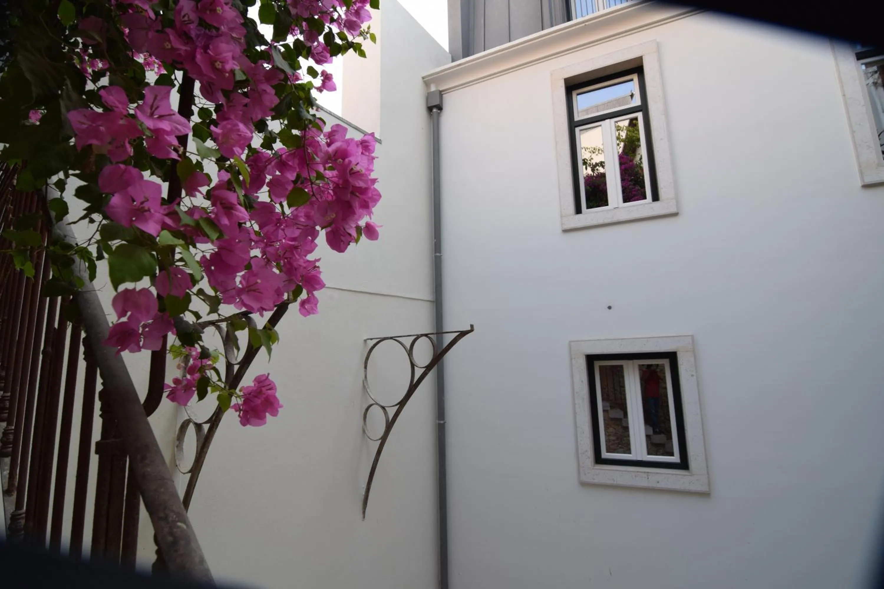 Patio in Lisbon Wine Hotel