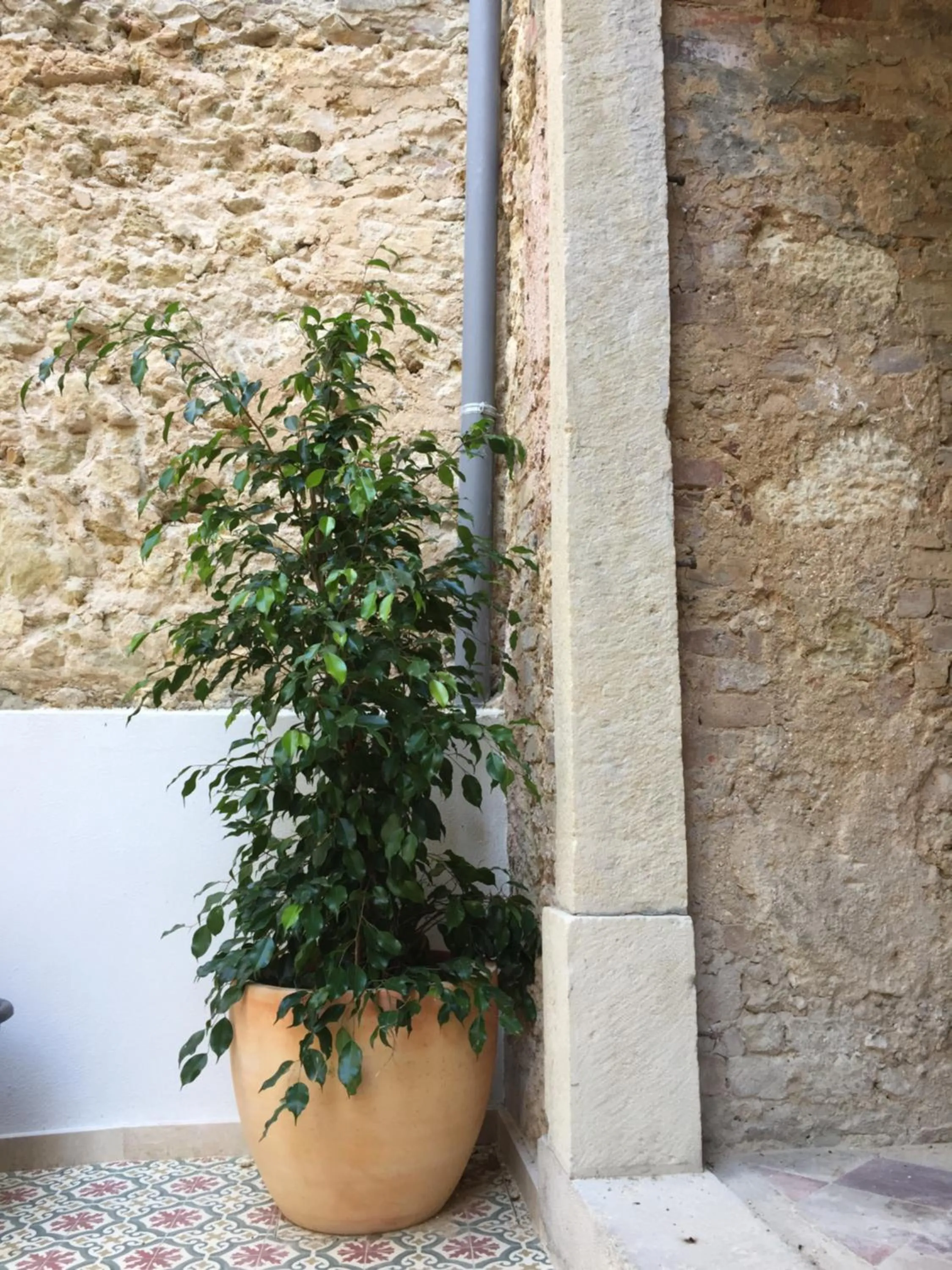 Patio in Lisbon Wine Hotel