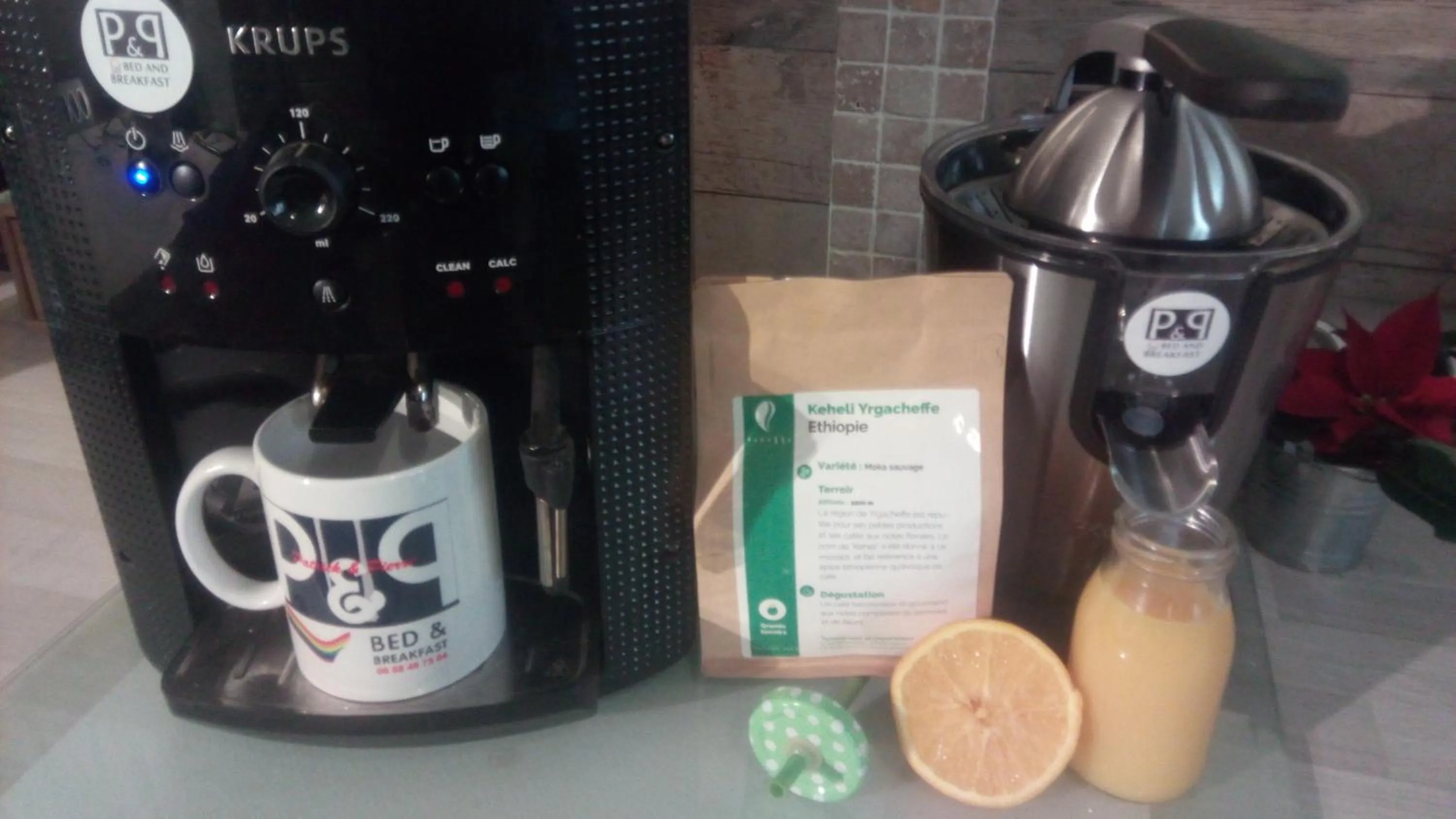 Activities in Patrick&Pierre Bed and Breakfast Nîmes