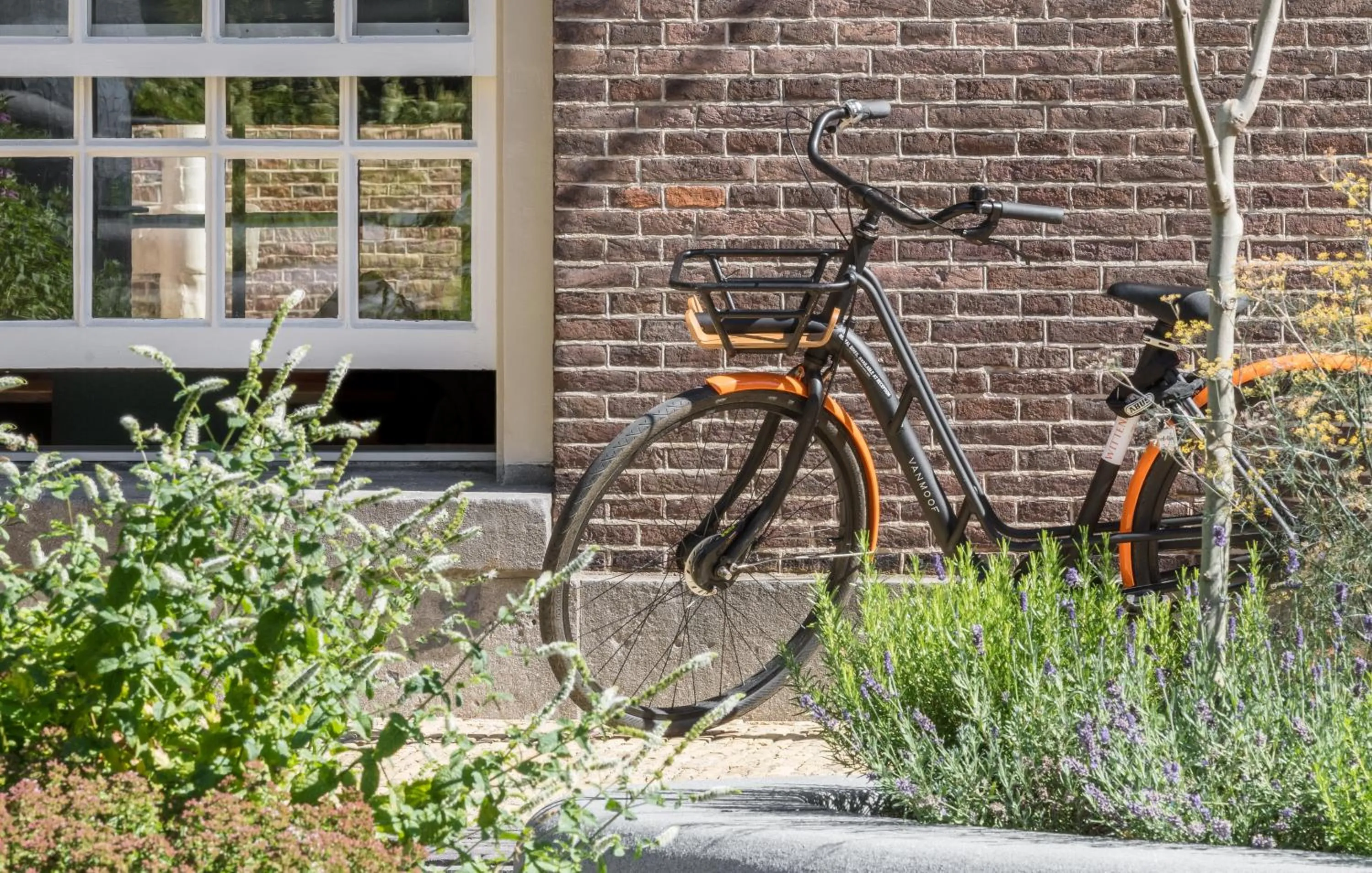 Property building in Wittenberg by Cove