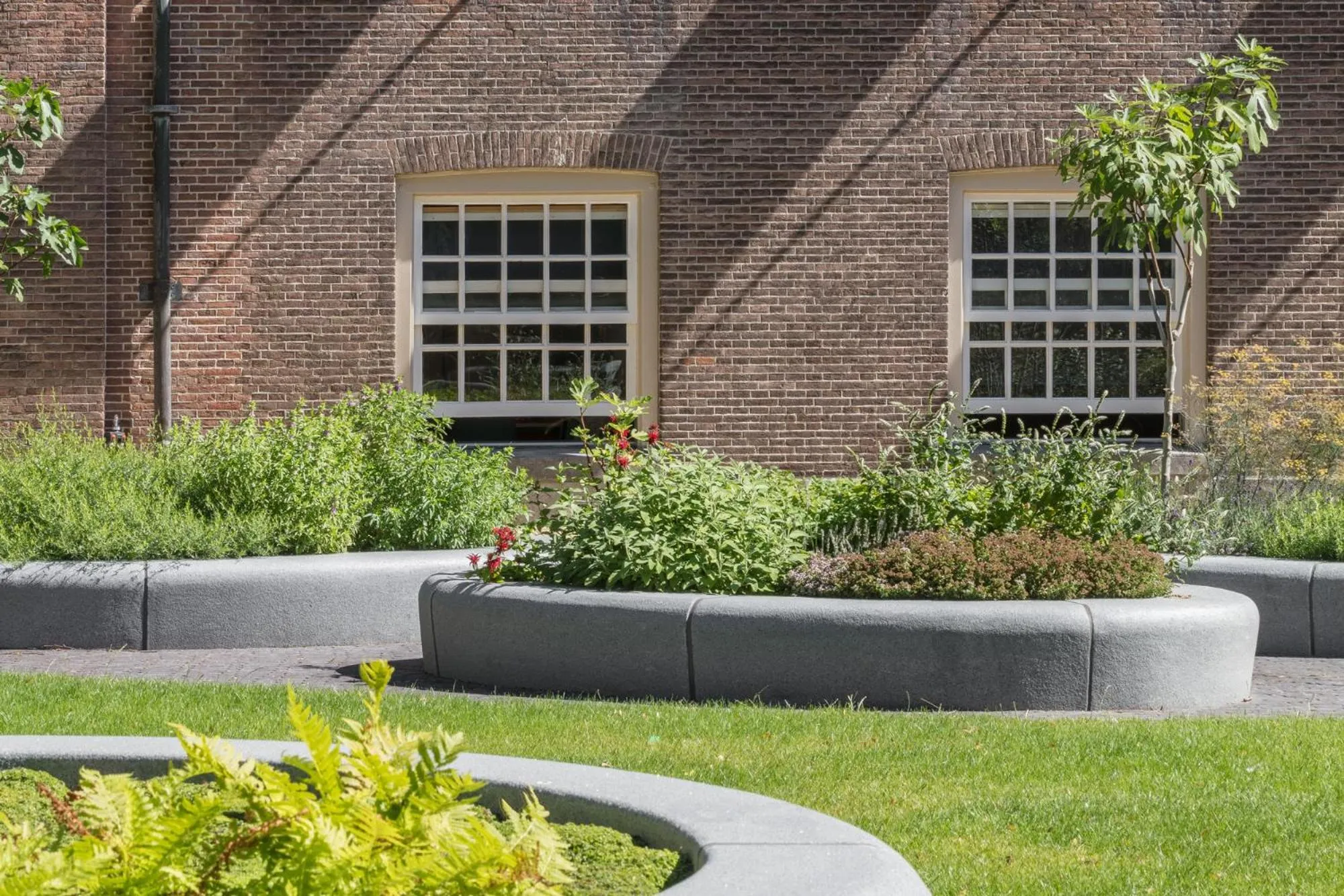 Garden in Wittenberg by Cove