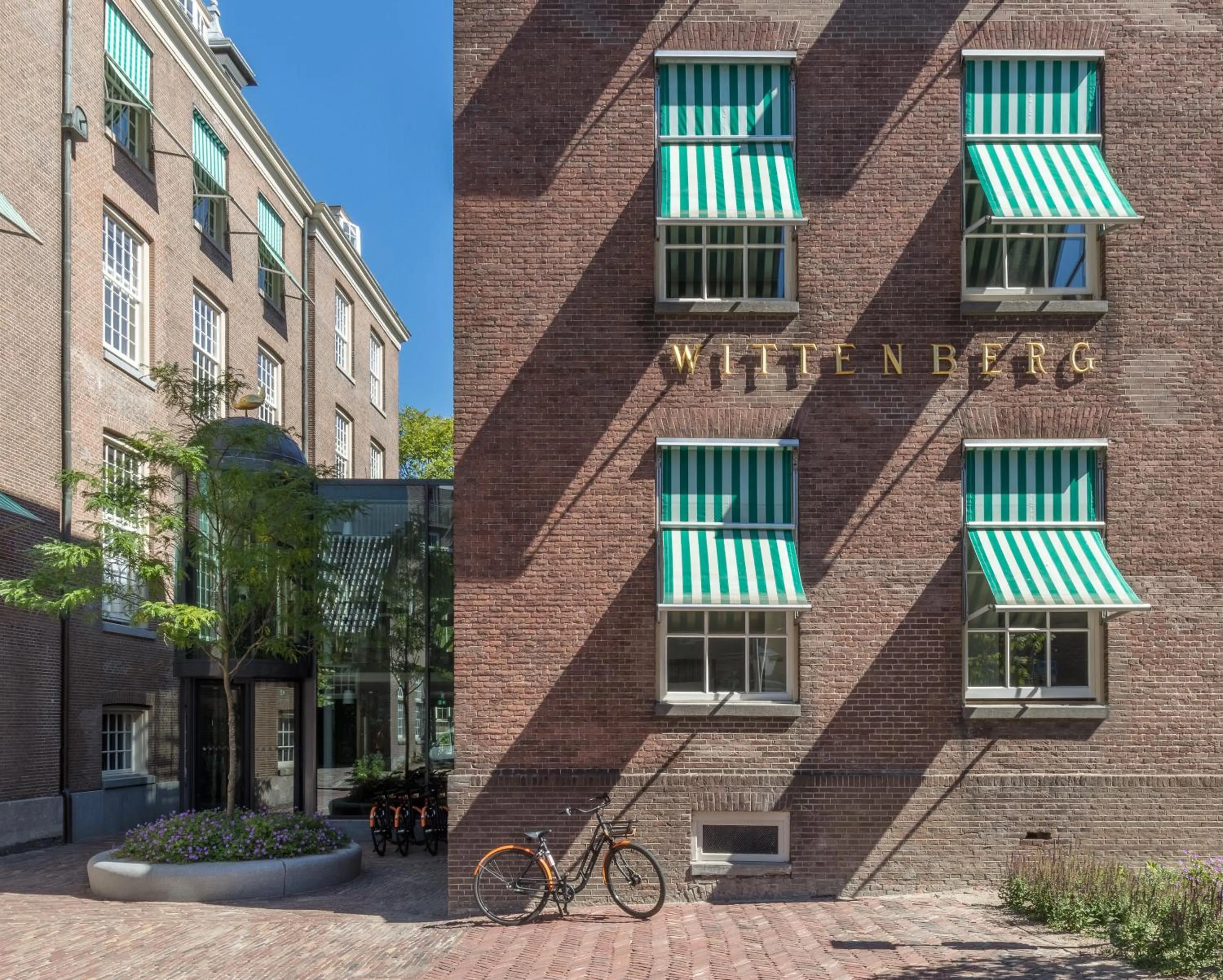 Property building in Wittenberg by Cove