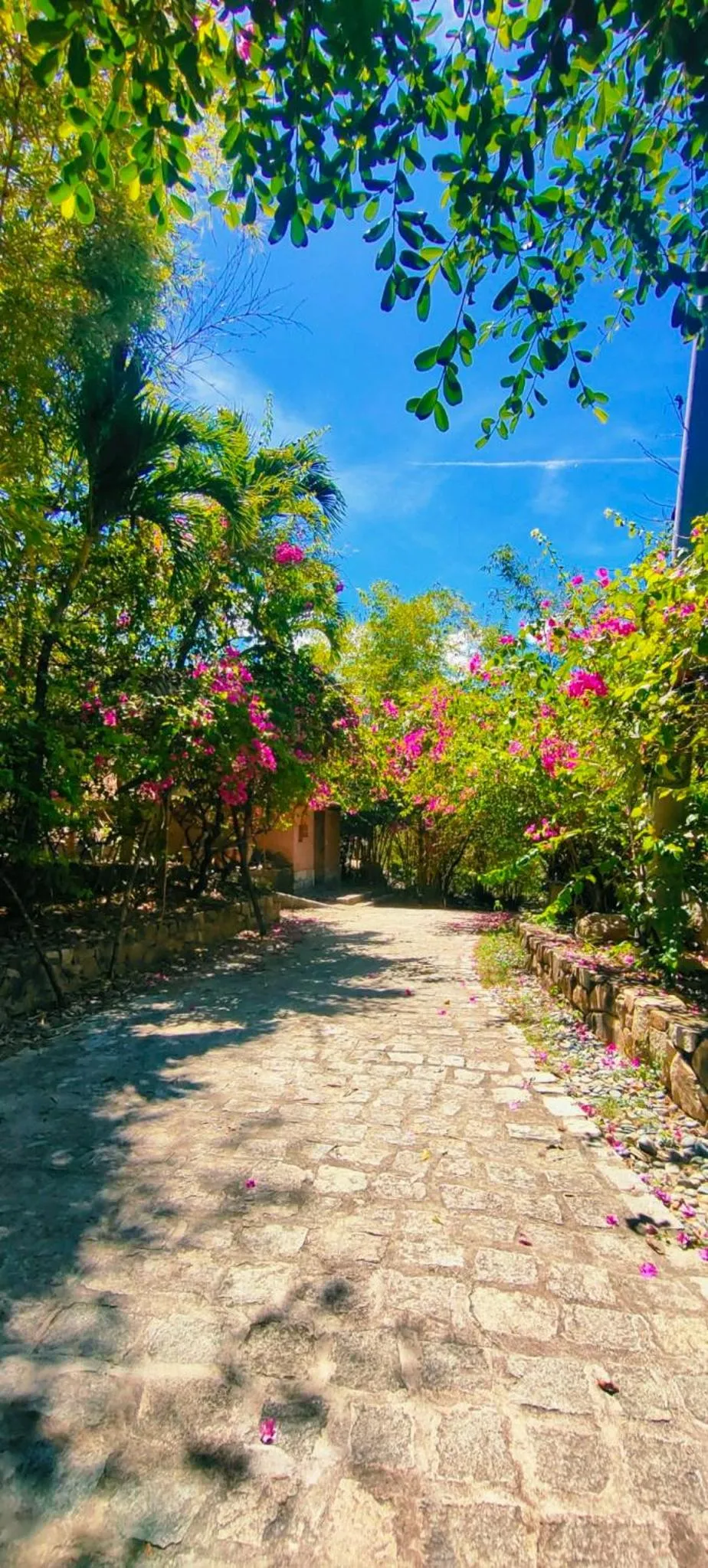 Day in Wild Beach Boutique Resort