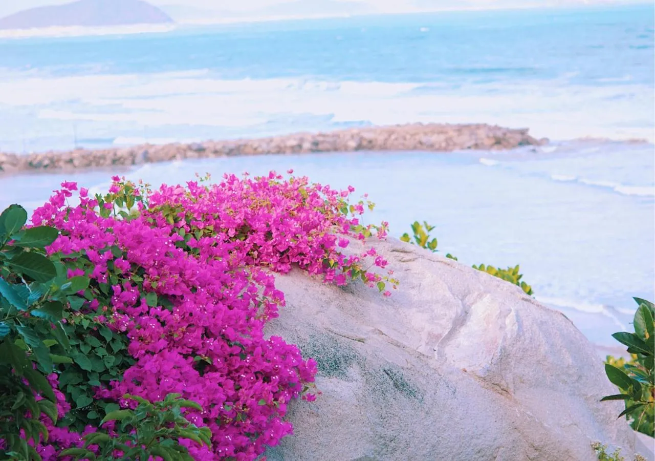 Natural landscape in Wild Beach Boutique Resort