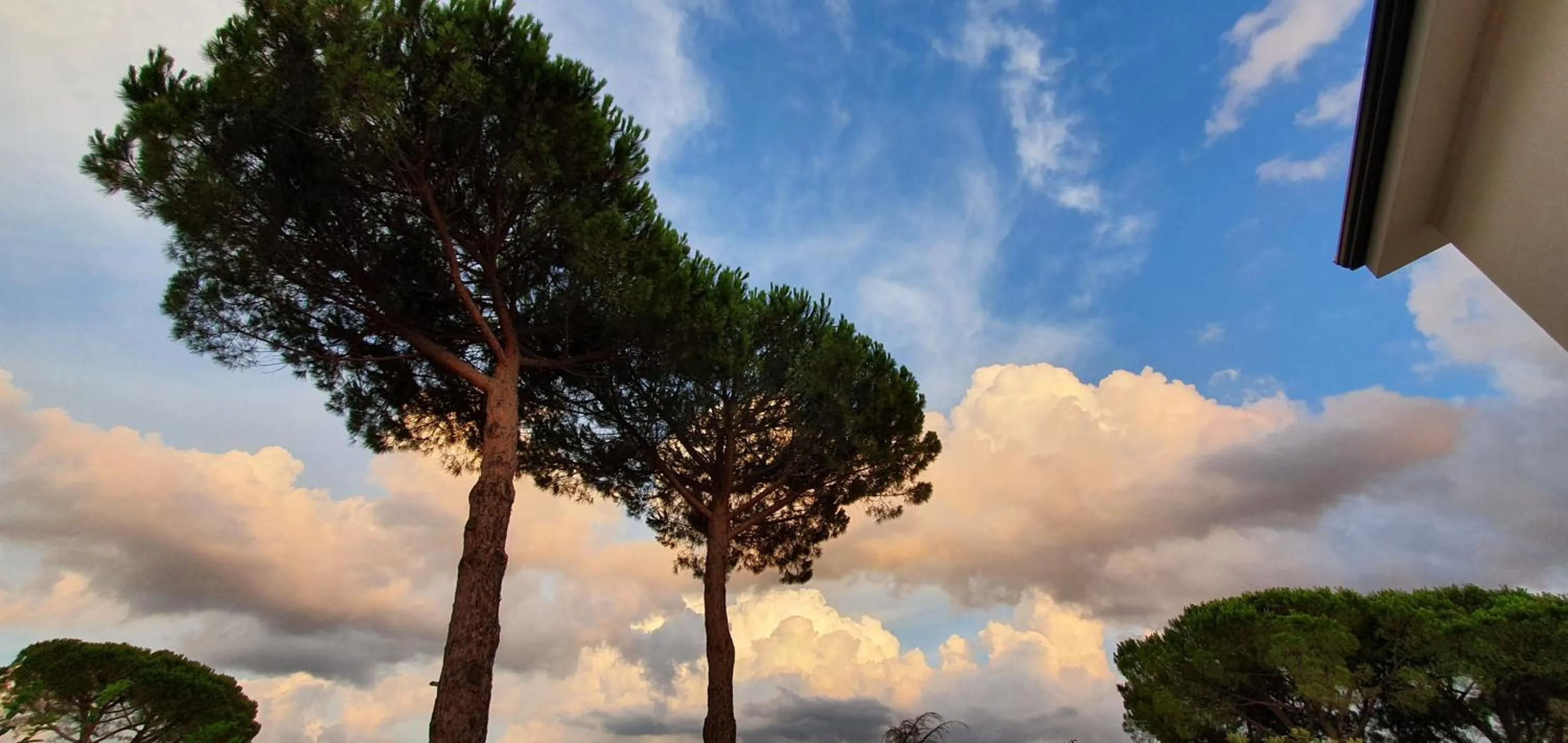Garden in B&B casaMagliana