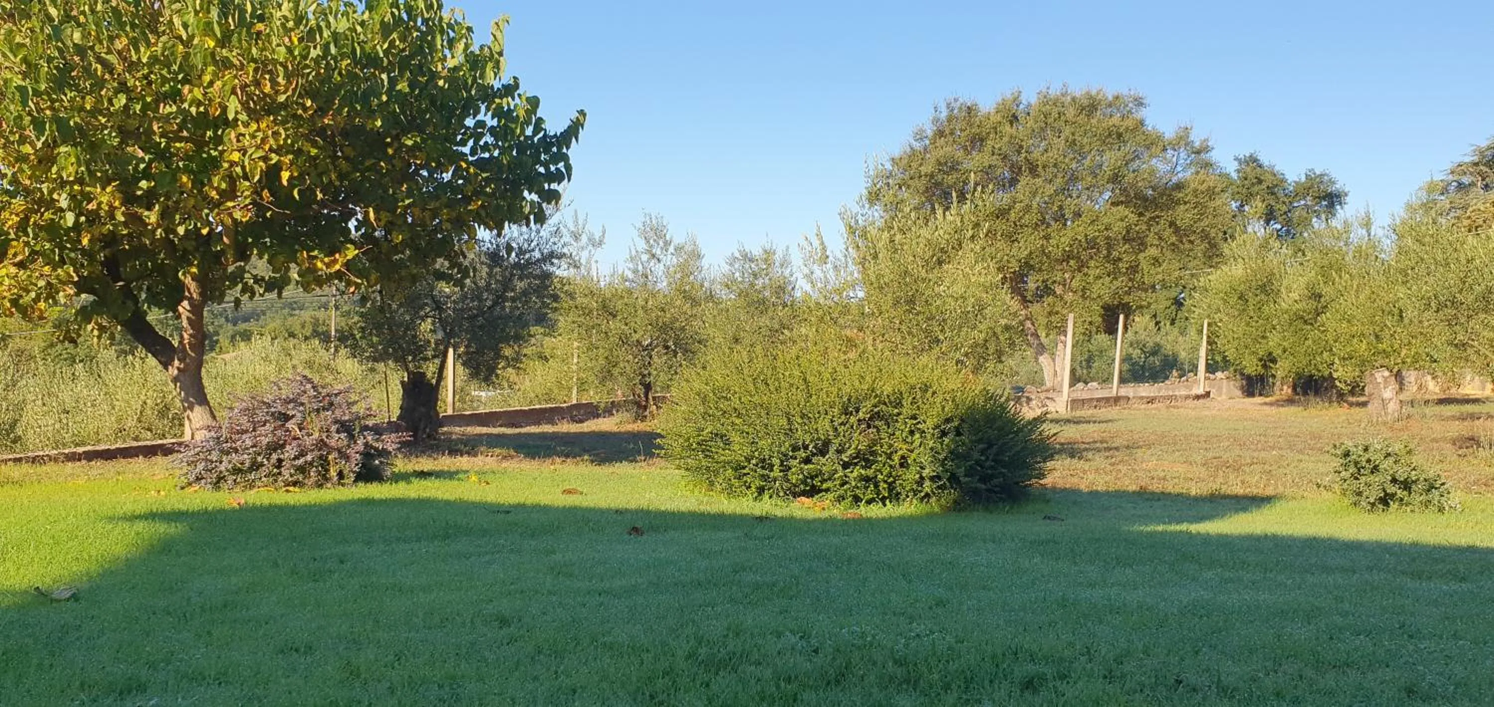 Garden in B&B casaMagliana