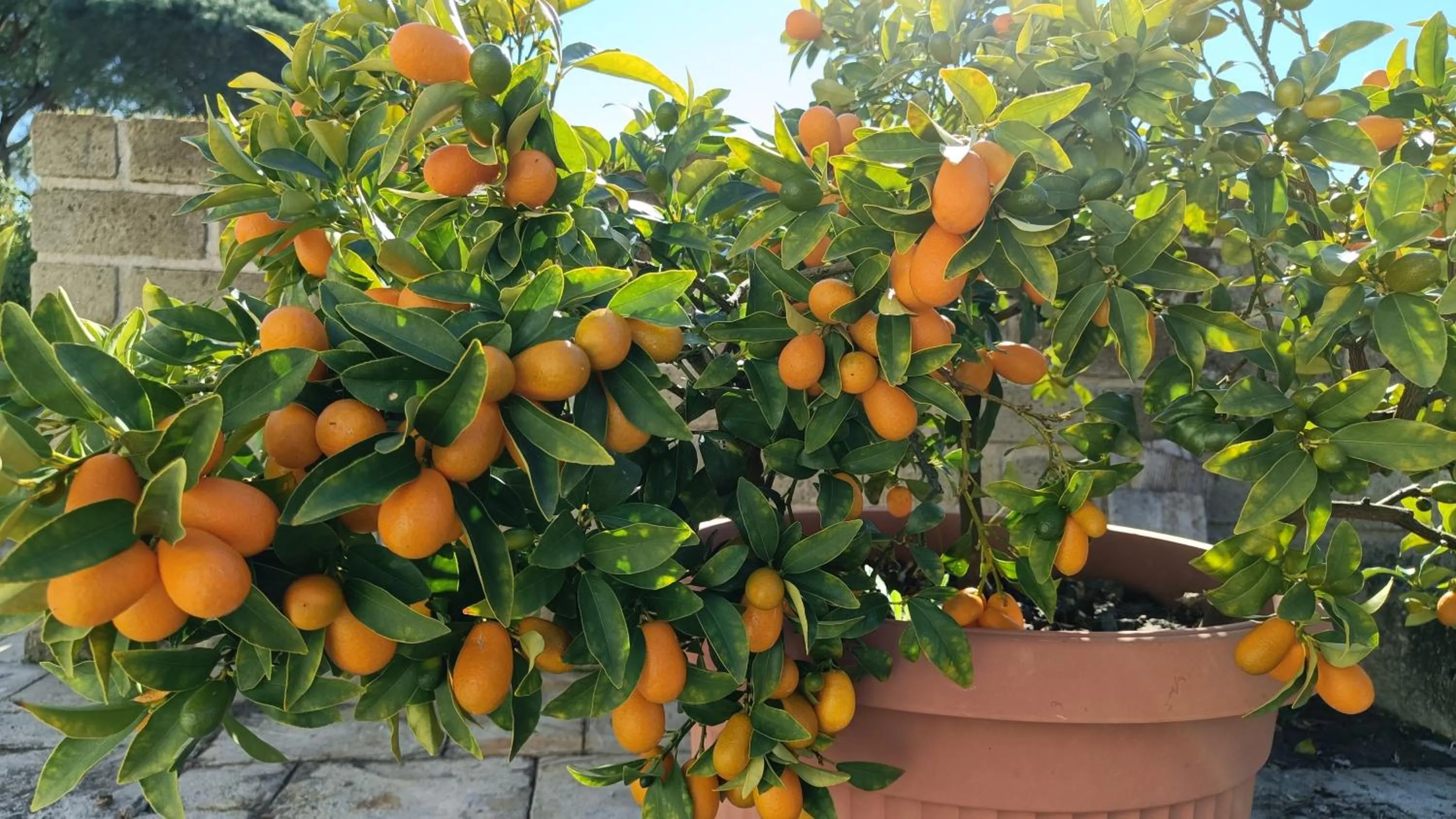 Property building in B&B casaMagliana