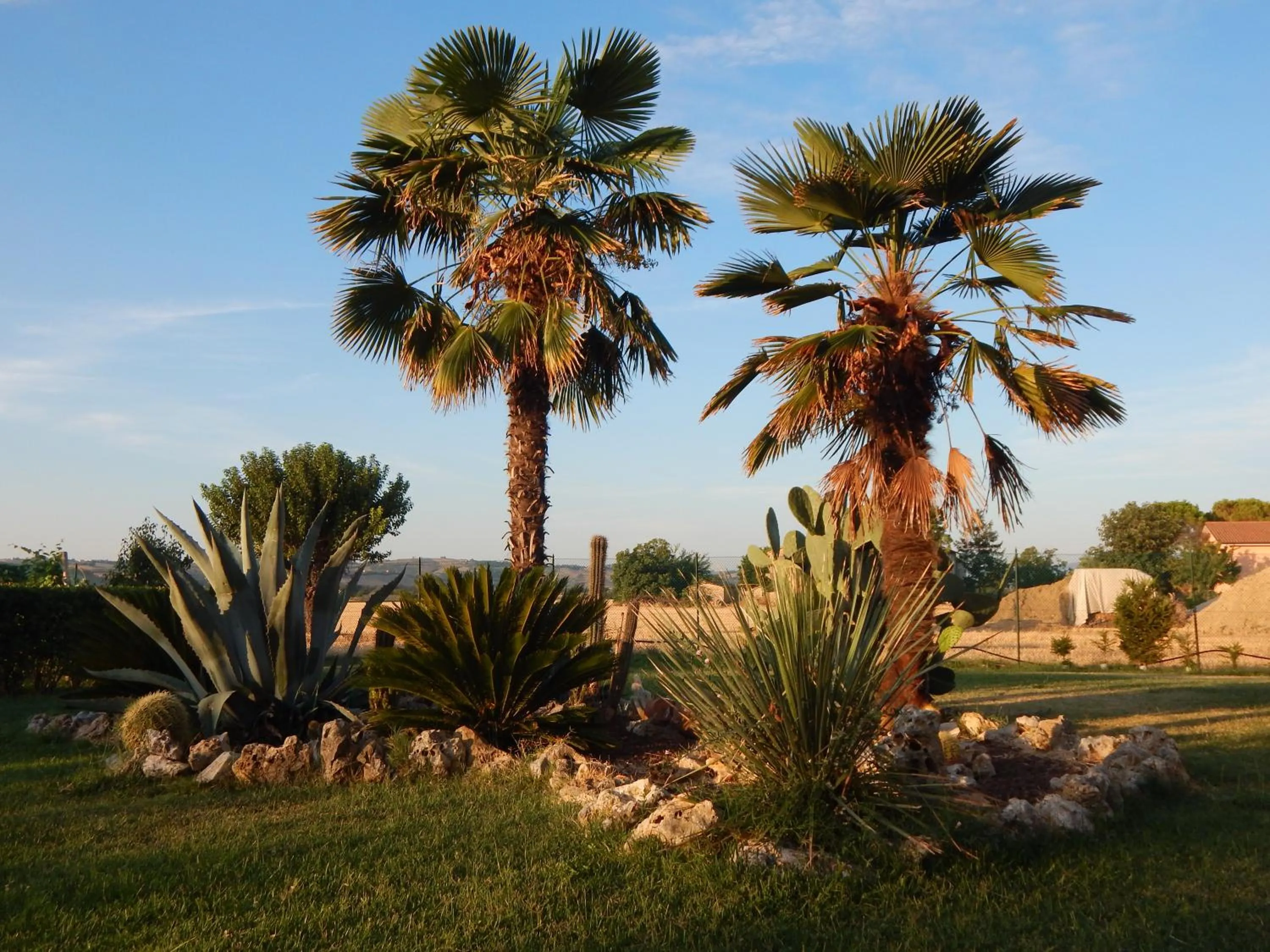 Garden view in B & B LE TRE B
