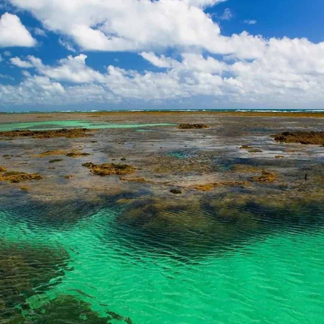 Pousada Solar Dos Carneiros