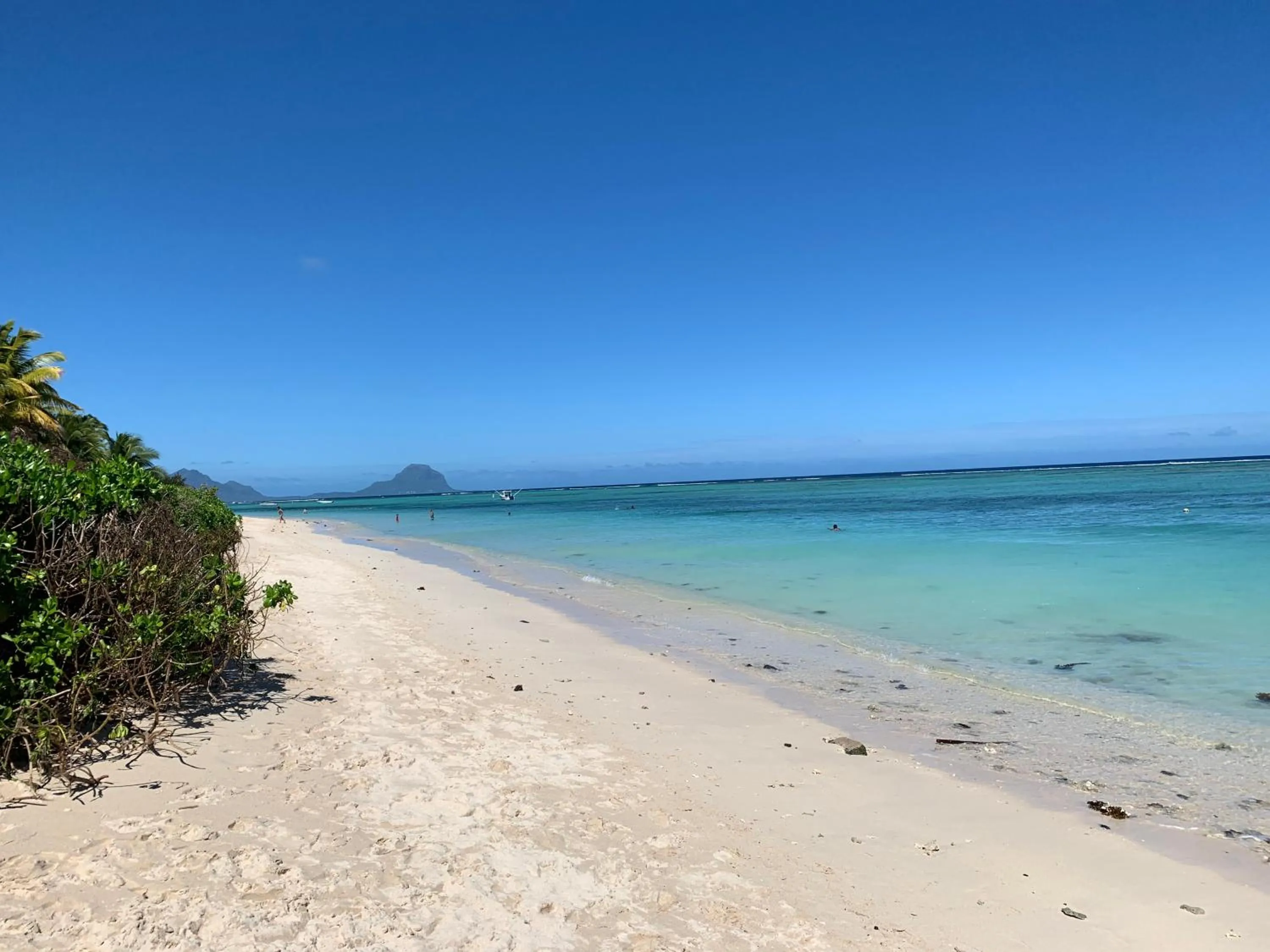 Cap Ouest Beachfront Luxury Penthouse & Apartment