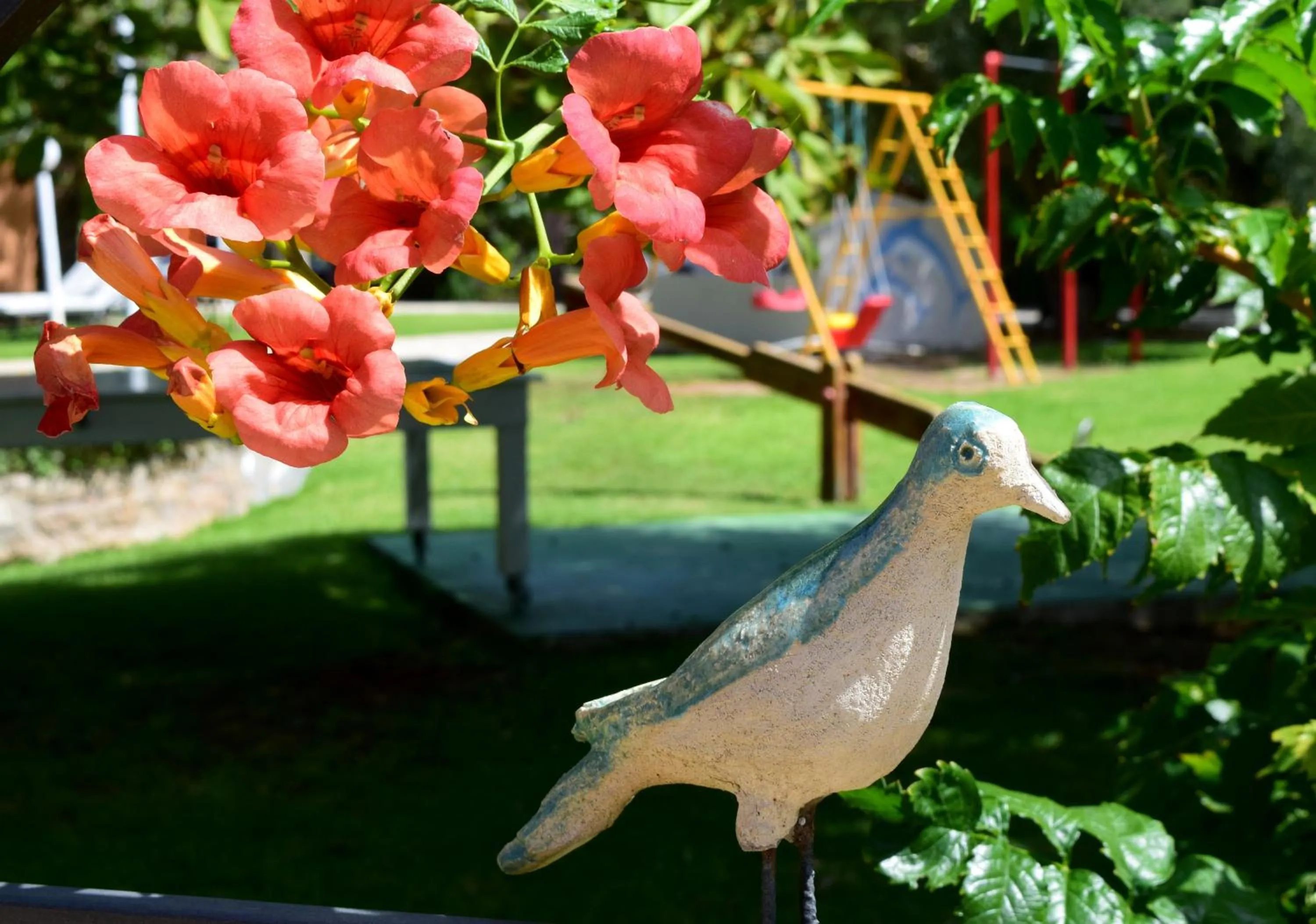 Garden view in Simatos αpARTments & Studios