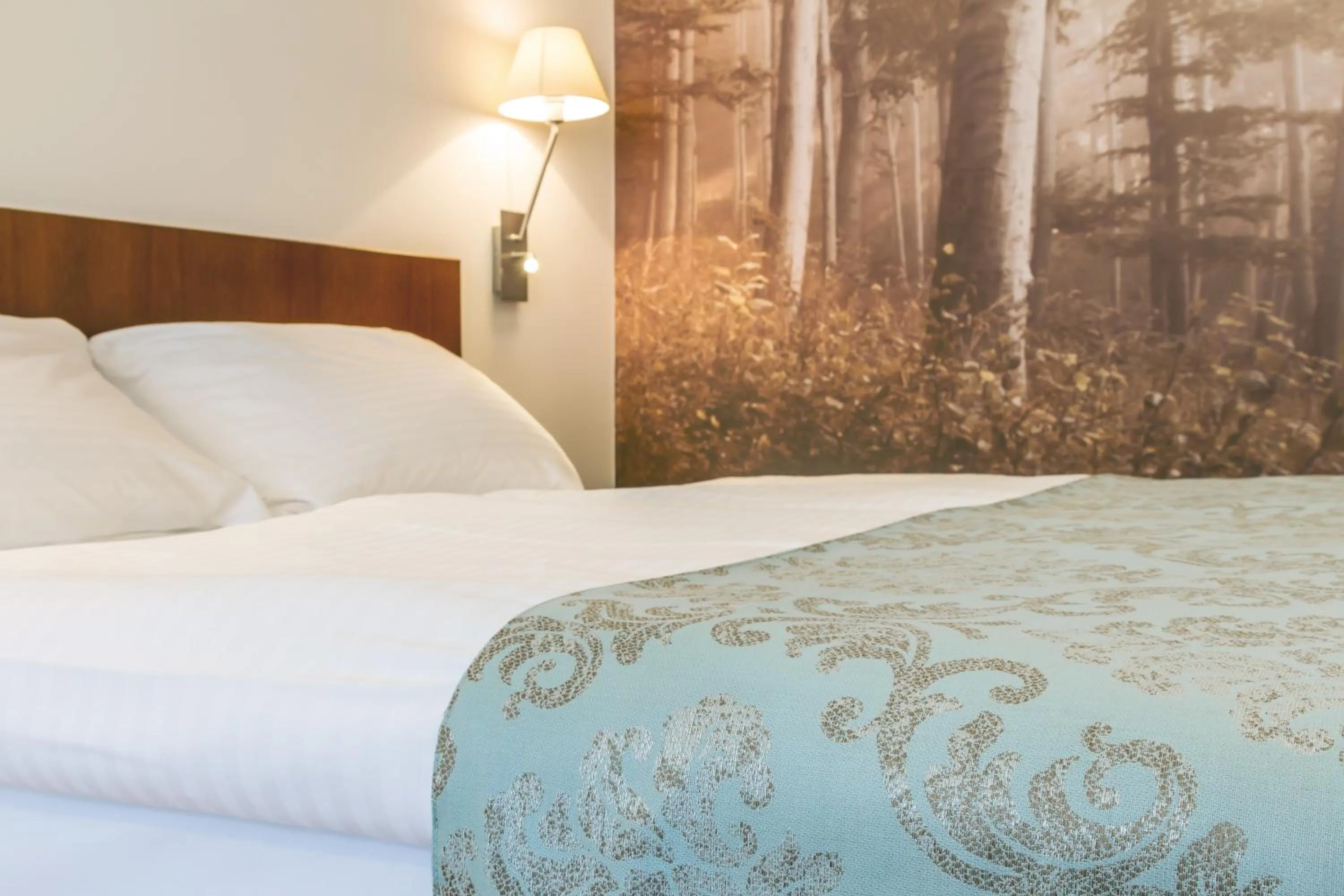 Bed in Benediktushaus im Schottenstift