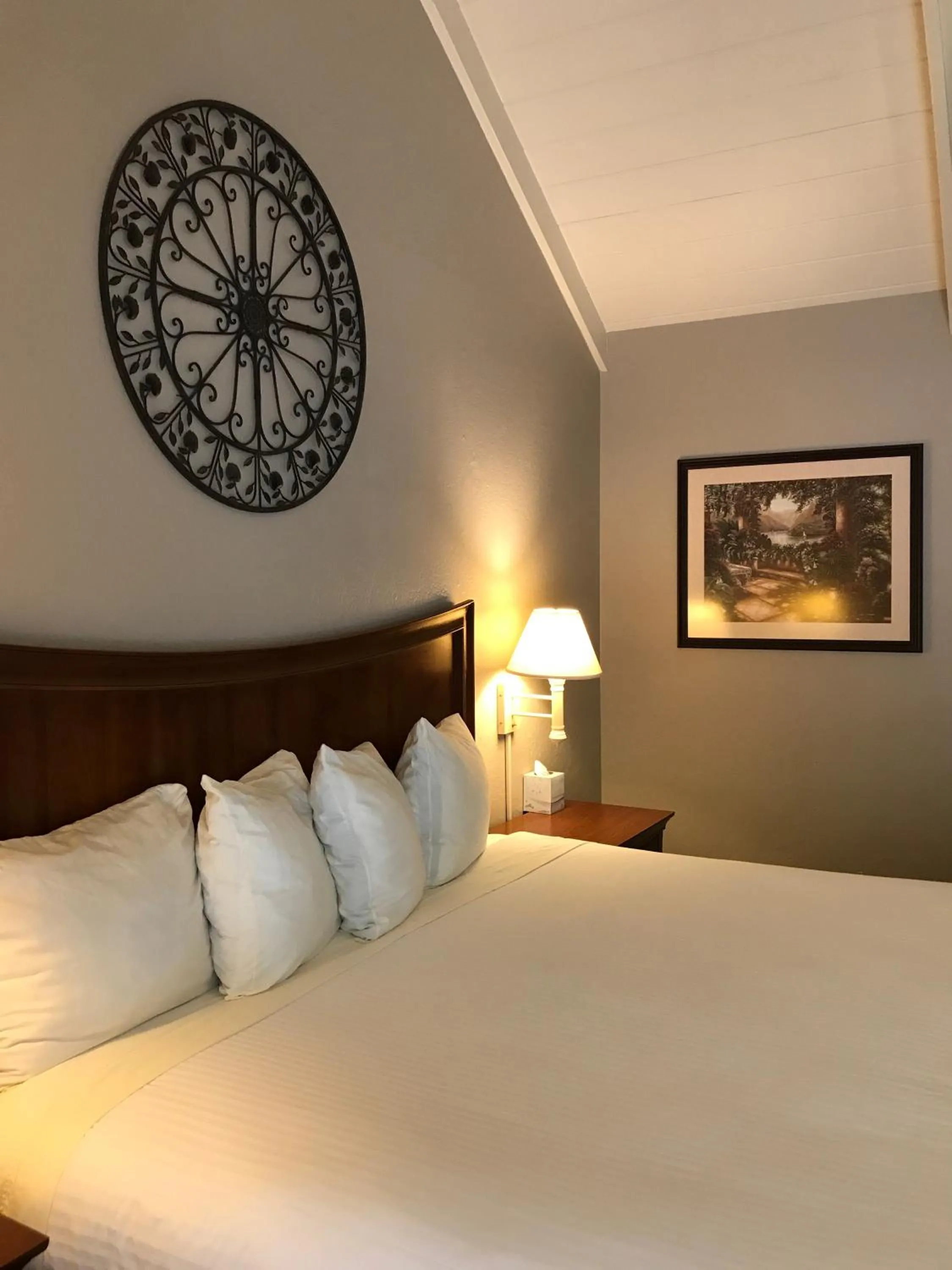 Bed in Golden Haven Hot Springs