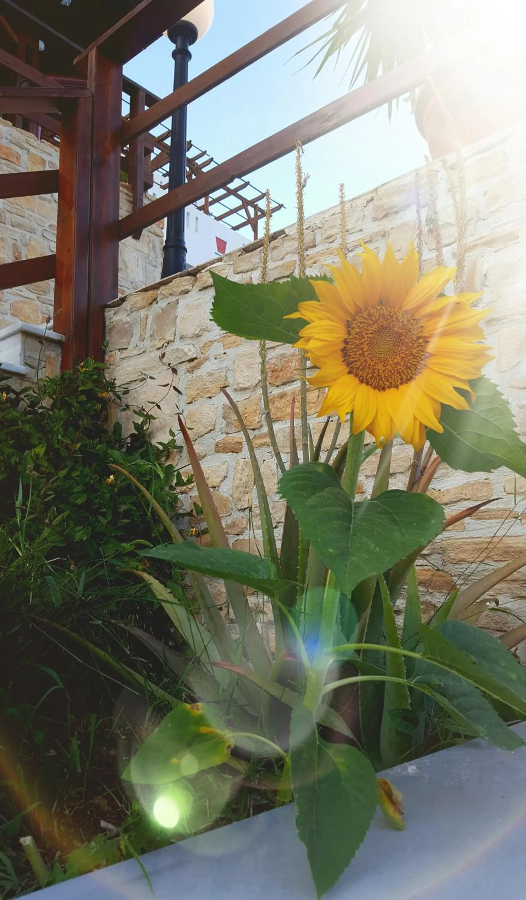 Garden in Sky Beach Hotel