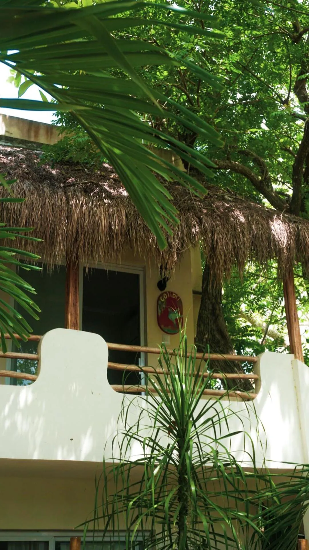 Garden in Hotel & Suites Oasis Bacalar