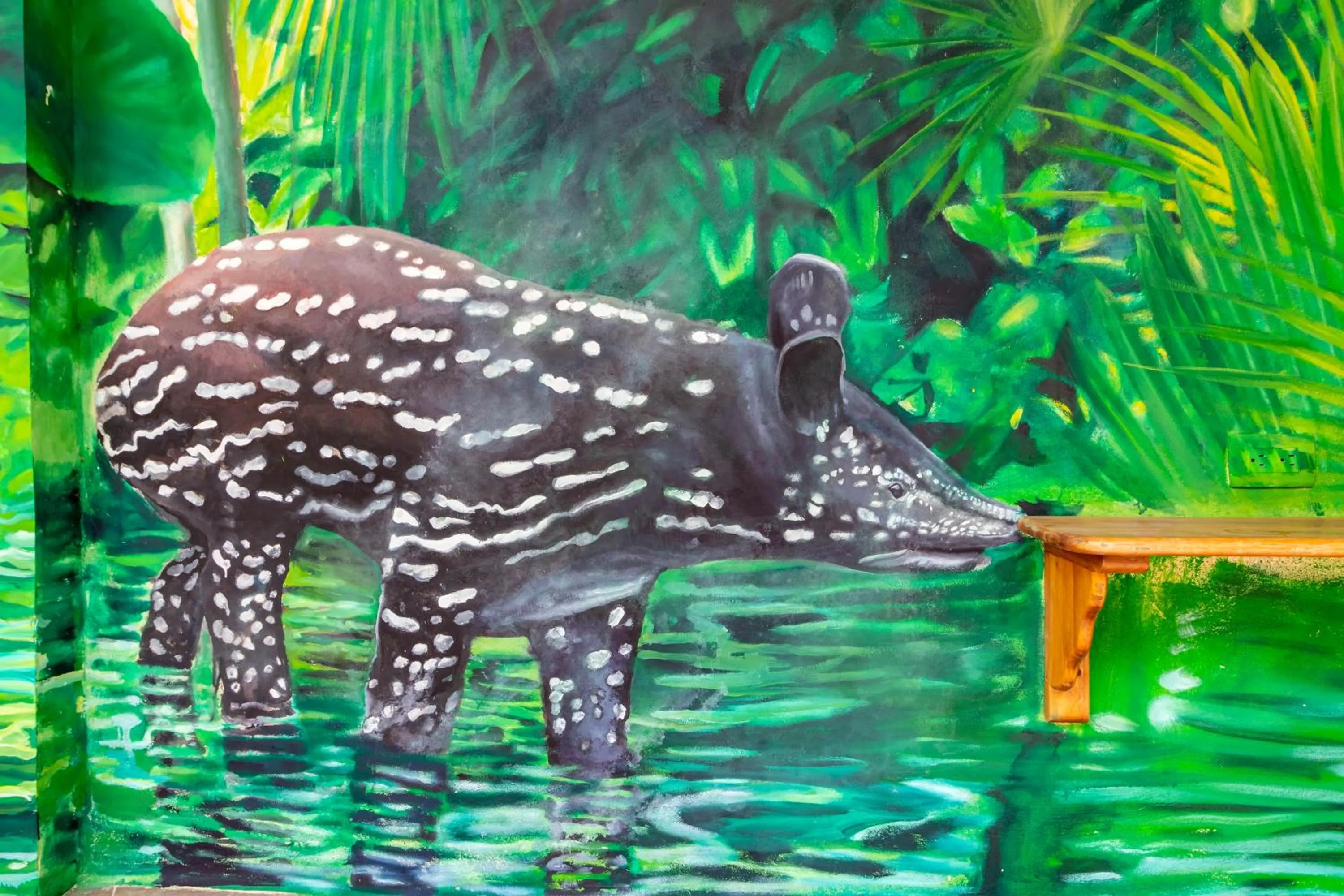 Natural landscape in Hotel & Suites Oasis Bacalar