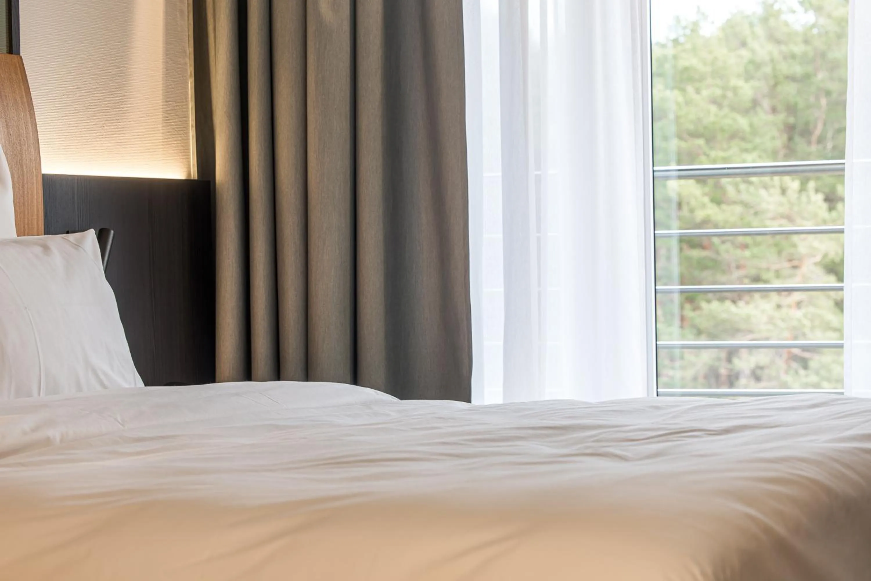 Day, Bed in Mercure Palanga Vanagupe Resort & SPA