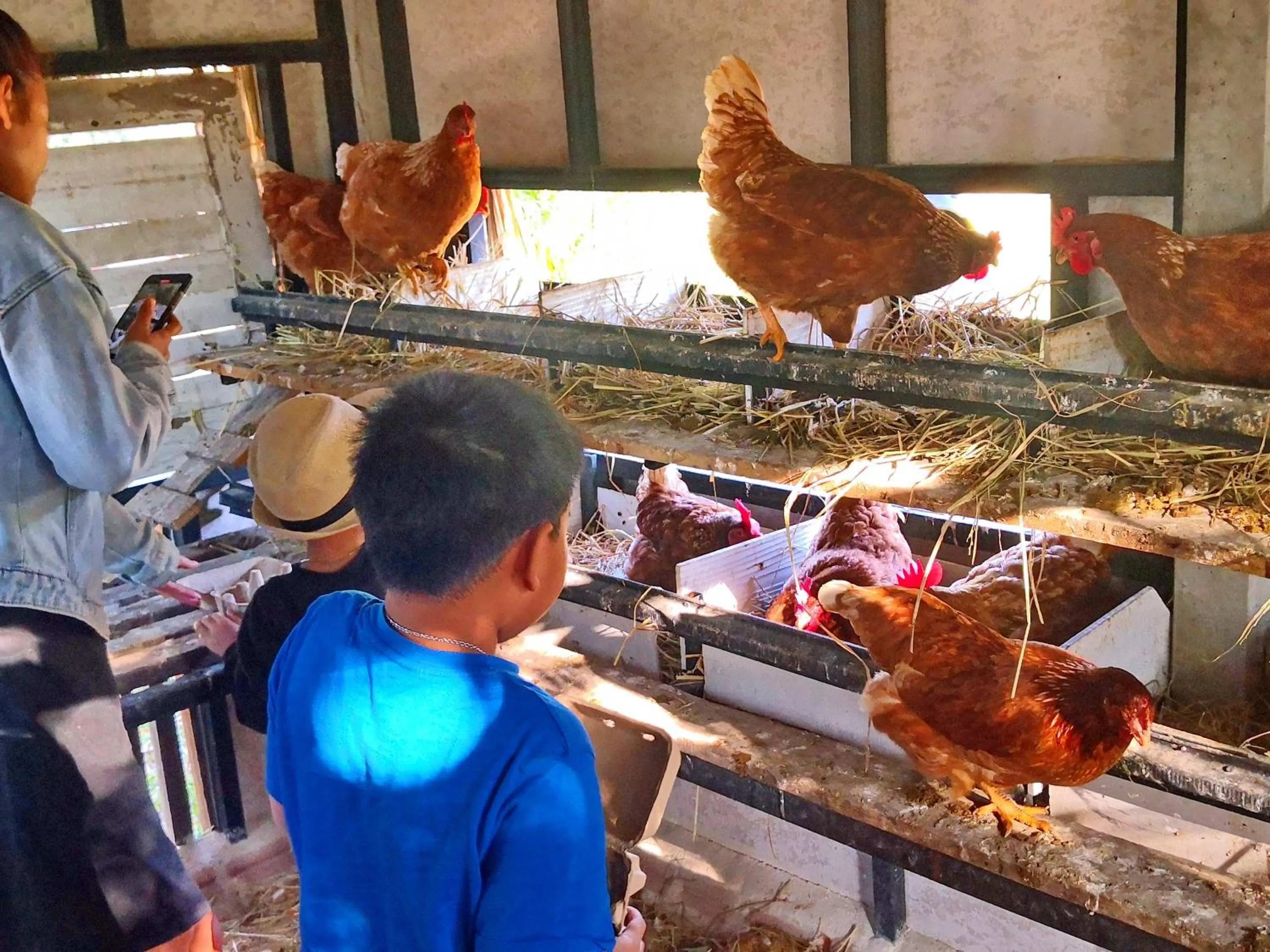 Children play ground in Tantai Eco Farm Stay At Khao Yai