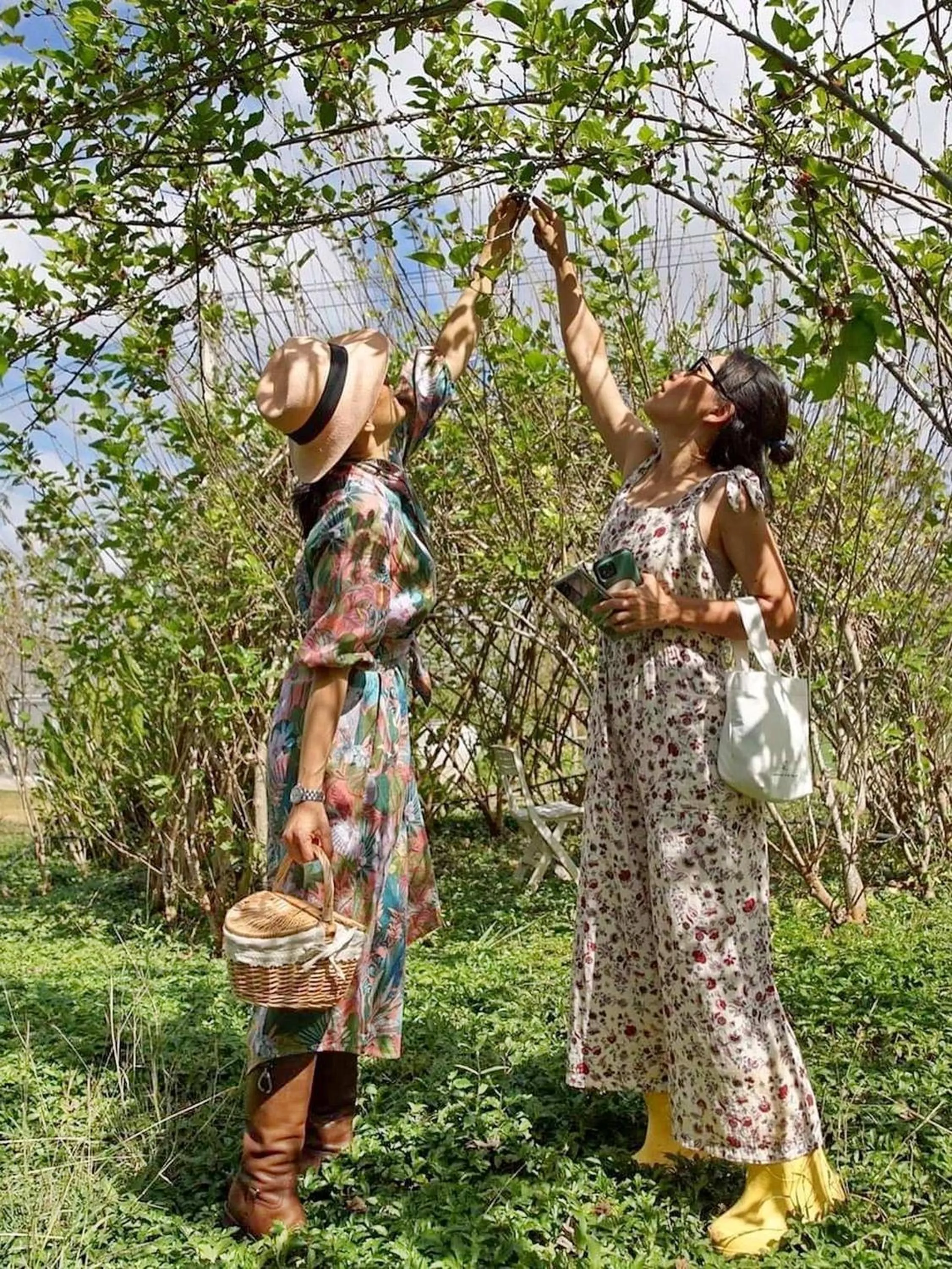 Garden in Tantai Eco Farm Stay At Khao Yai