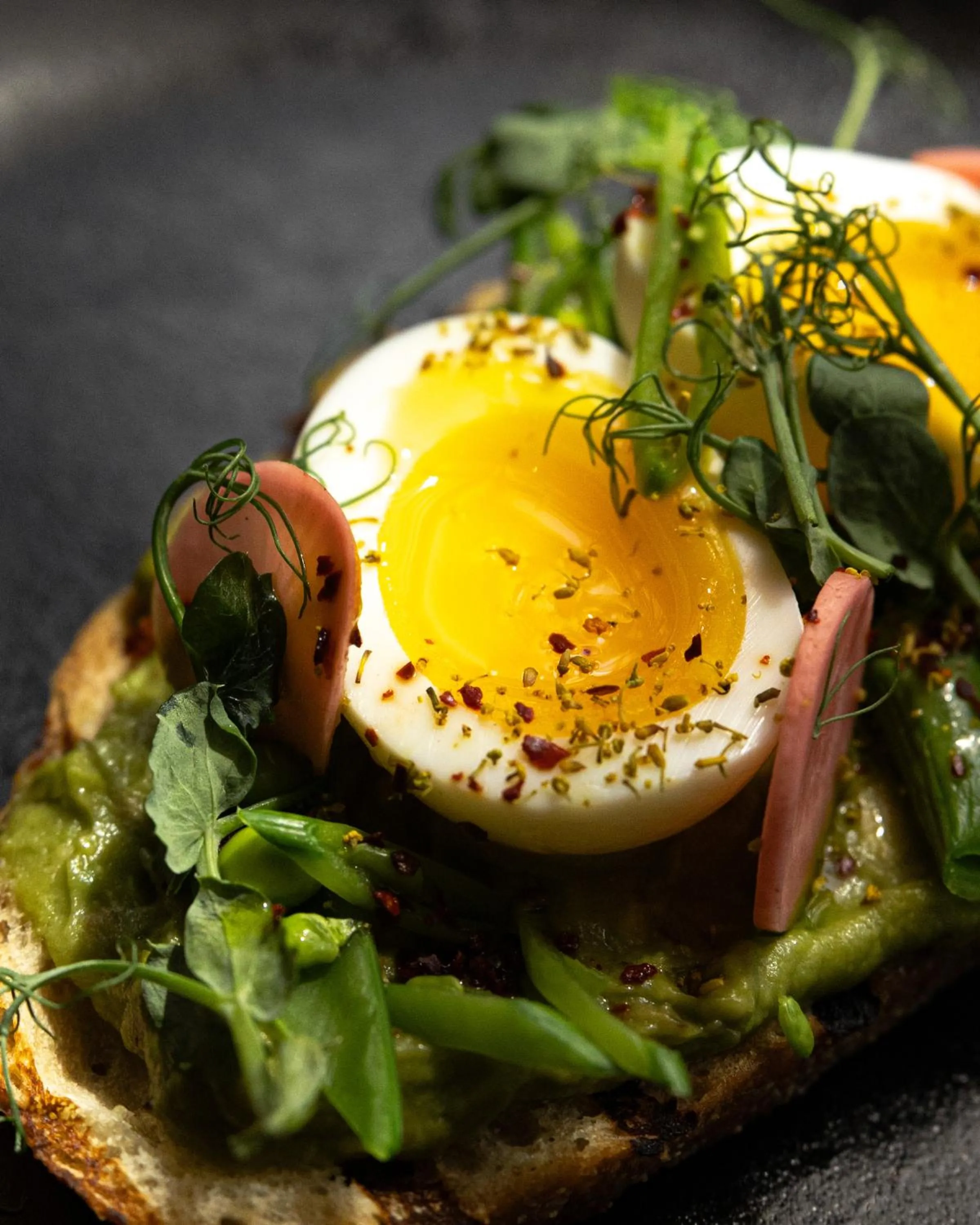 Restaurant/places to eat in Fairlane Hotel Nashville